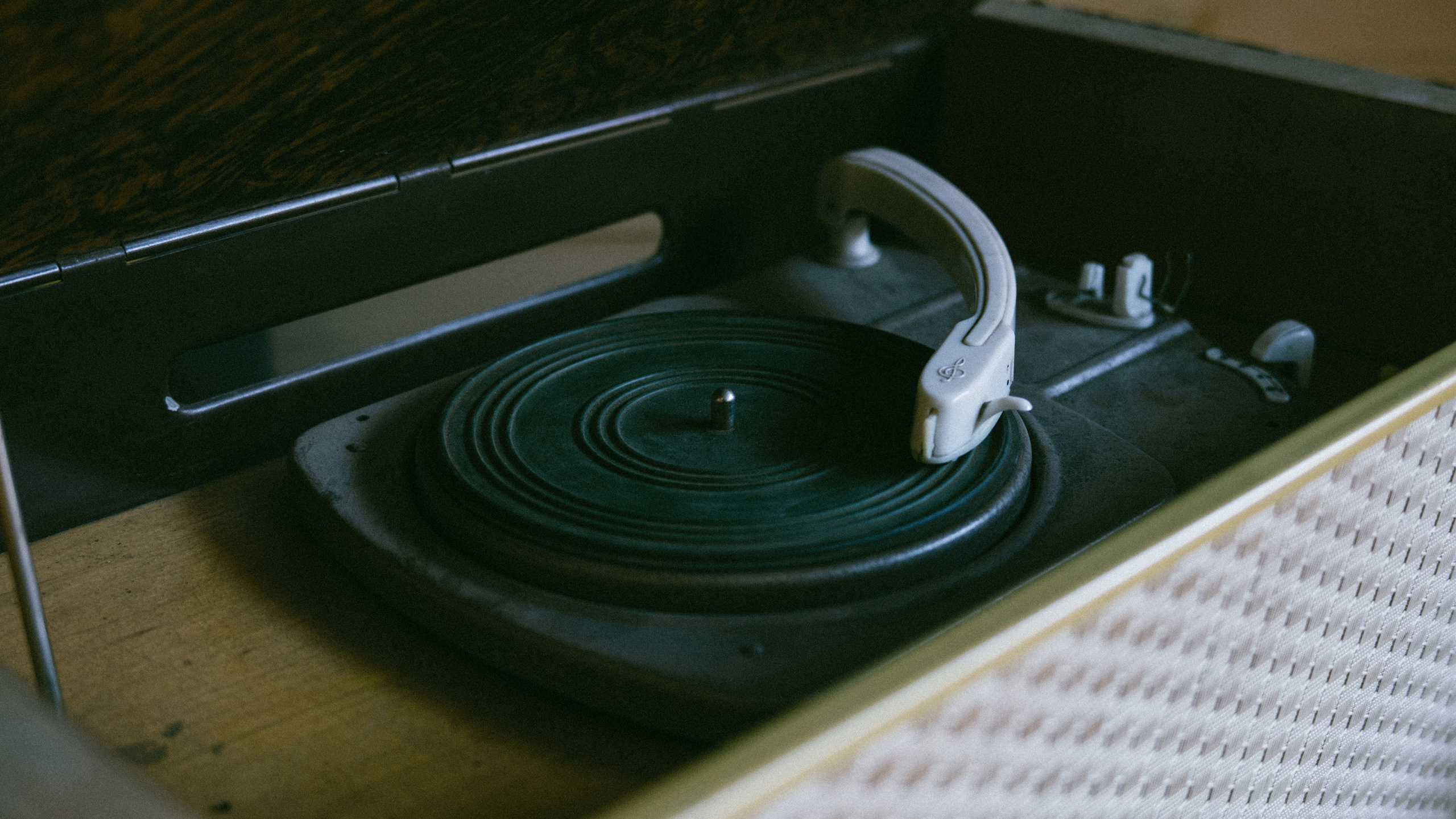 RANIS. Видеомейкер, видеооператор из Казани Ильнур Еналиев