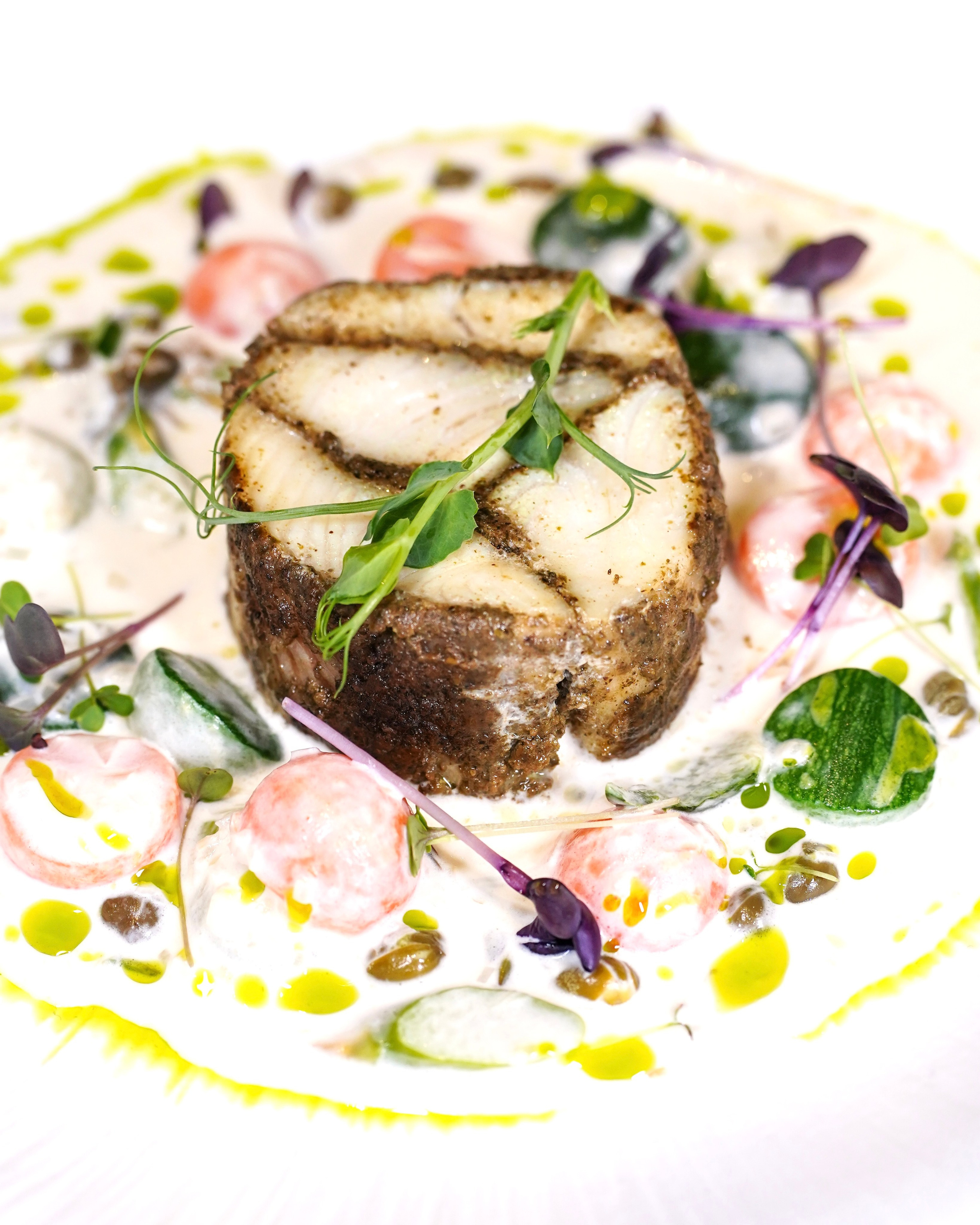 Tbilisi. AMODEO STUDIO