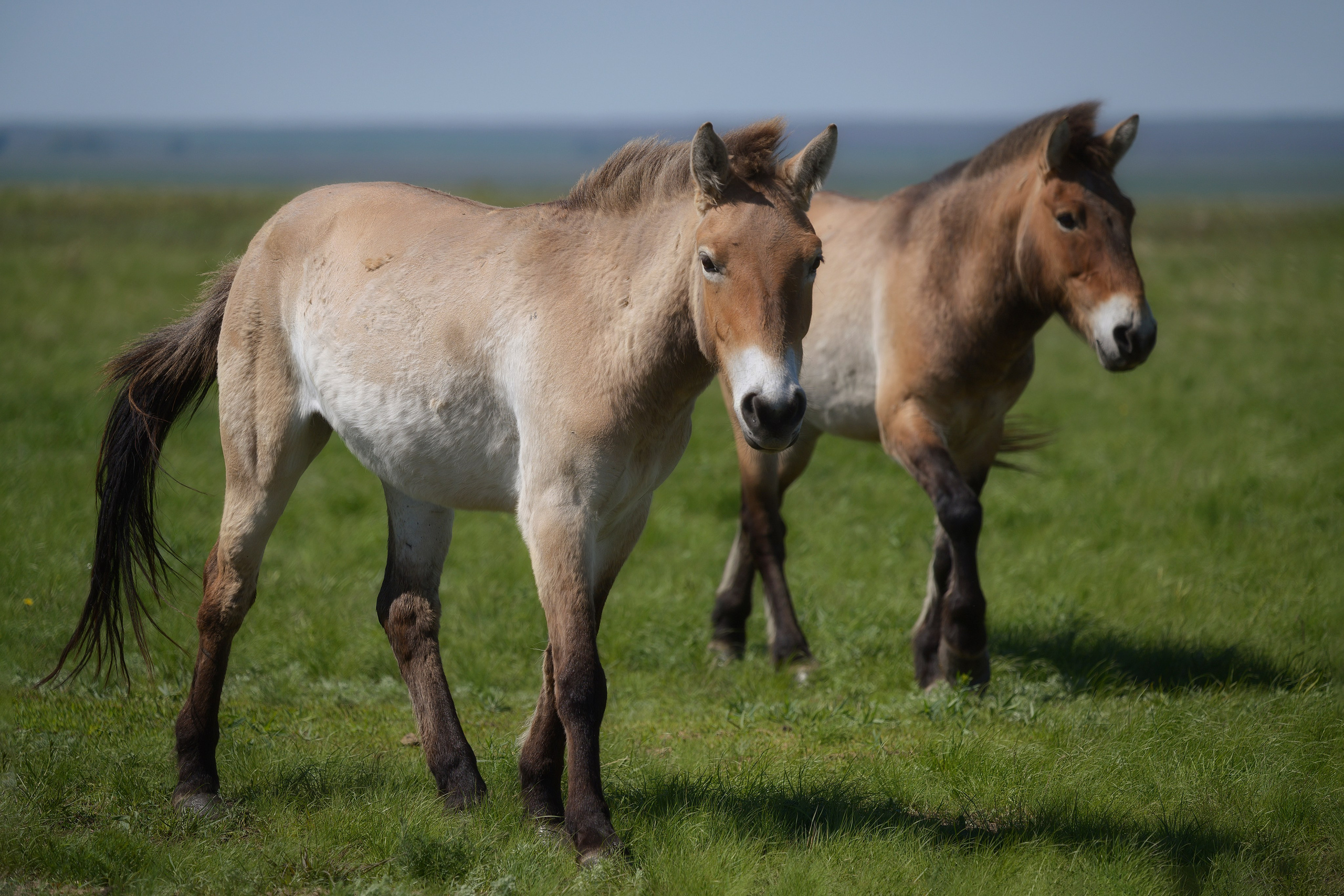 Оренбуржье. Портретный фотограф в Челябинске Катерина Руди