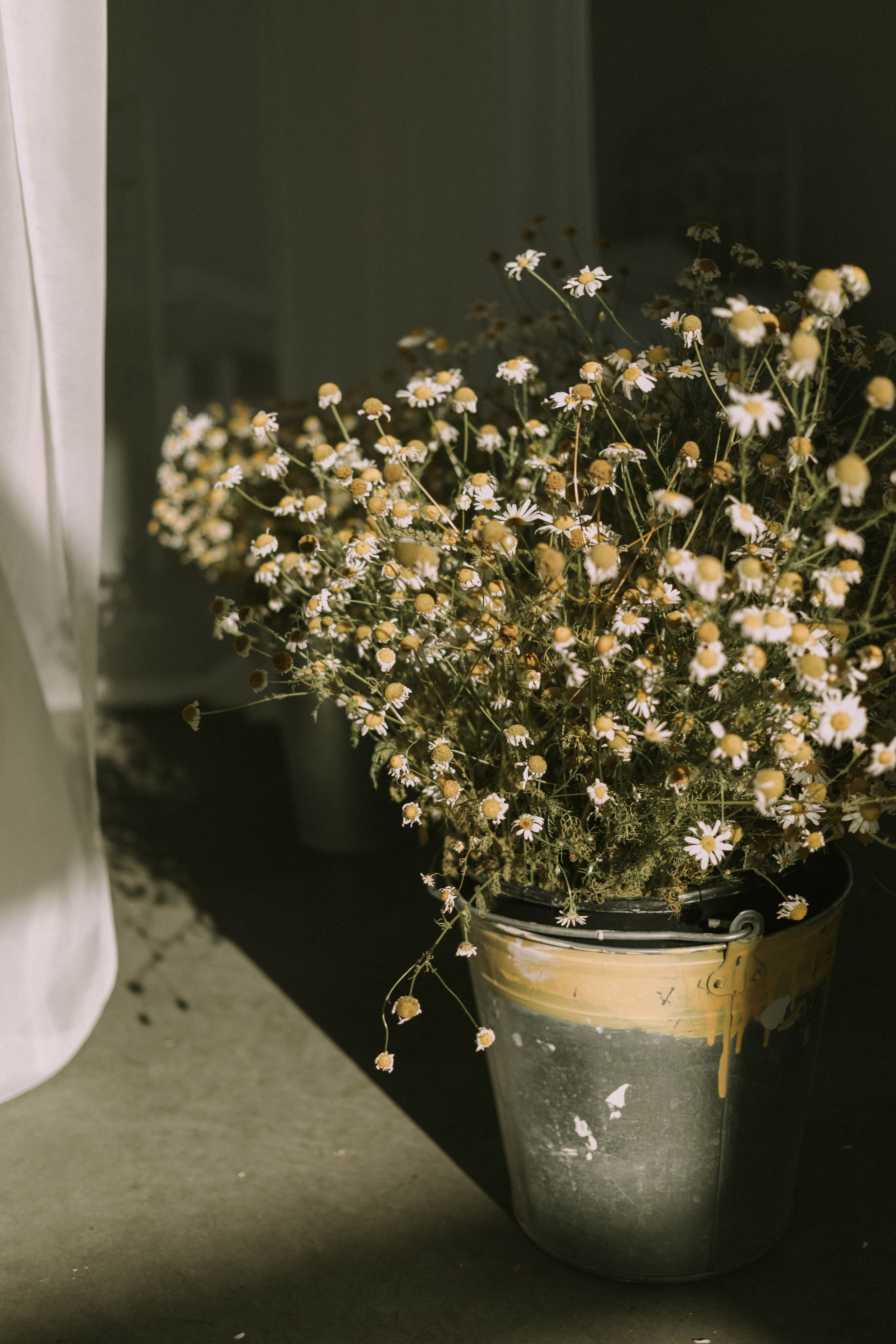 Портретный и свадебный фотограф в Воронеже Светлана Кунахова