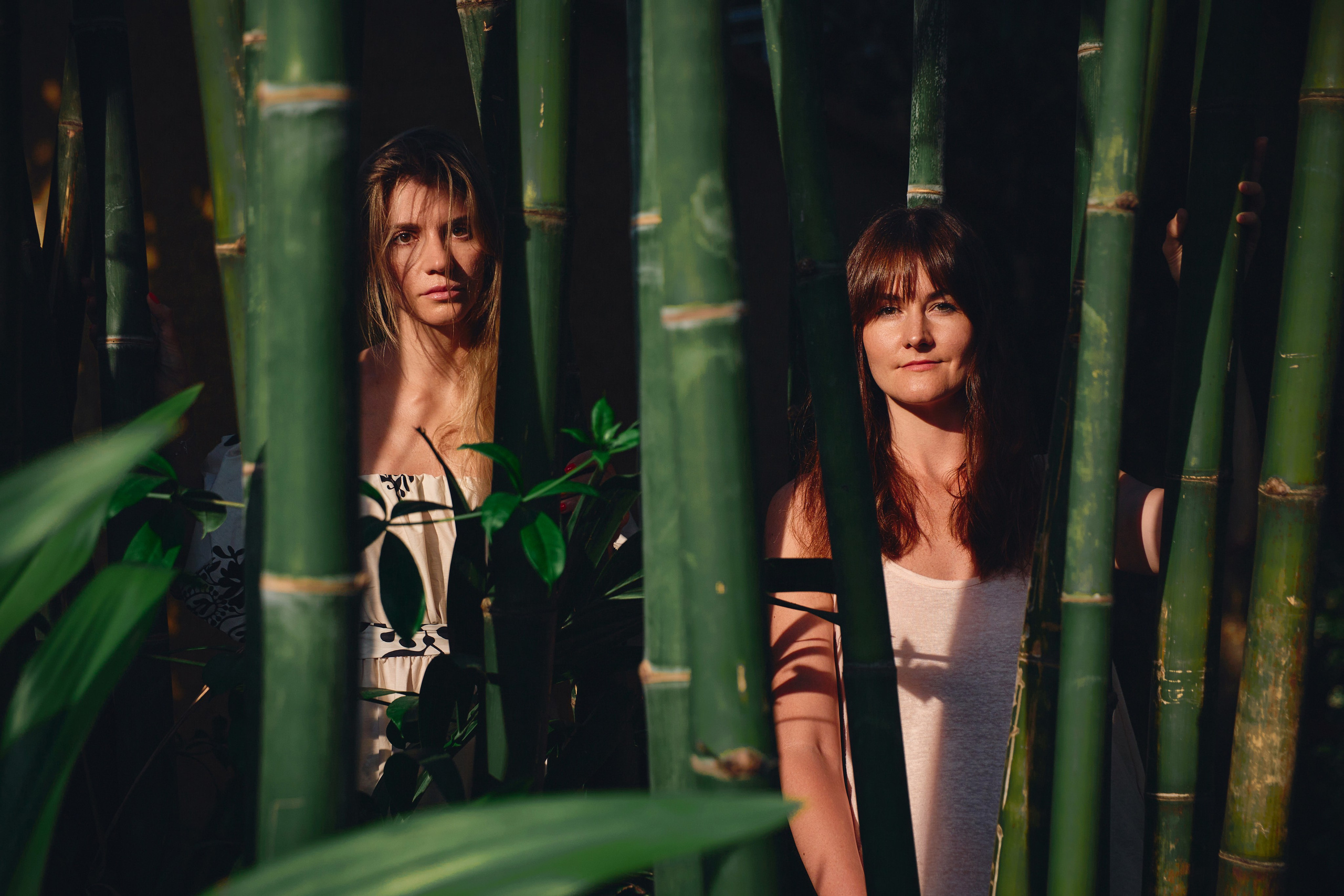 Viet. SAVA Photographer