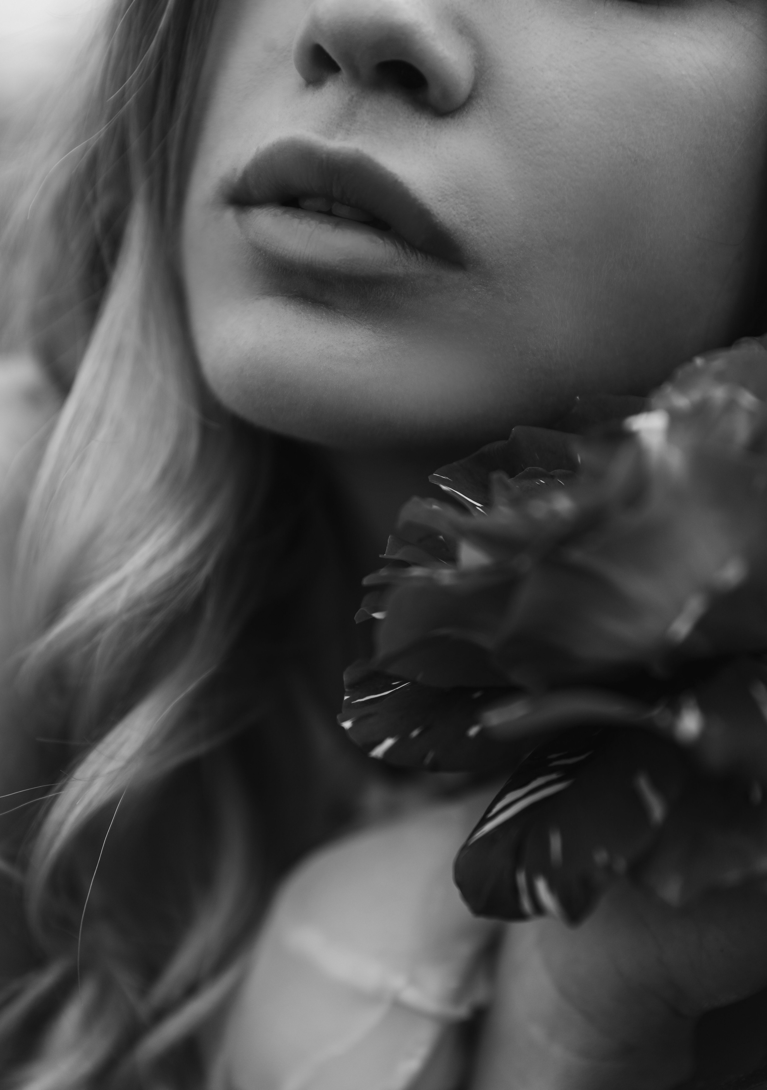 Илона и Максим розы. Свадебный и семейный фотограф в Севастополе и Крыму Анастасия Сураева