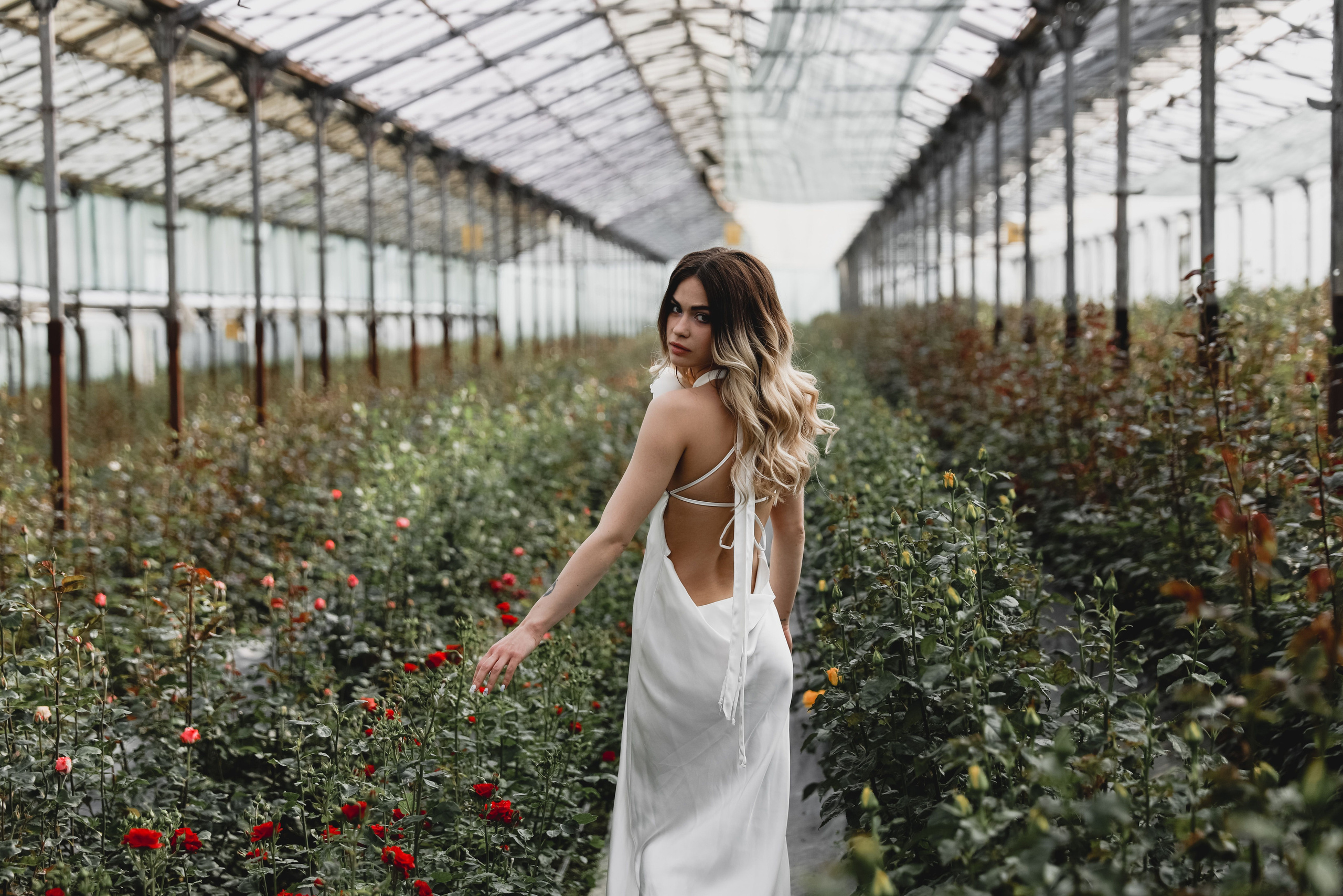 Илона и Максим розы. Свадебный и семейный фотограф в Севастополе и Крыму Анастасия Сураева