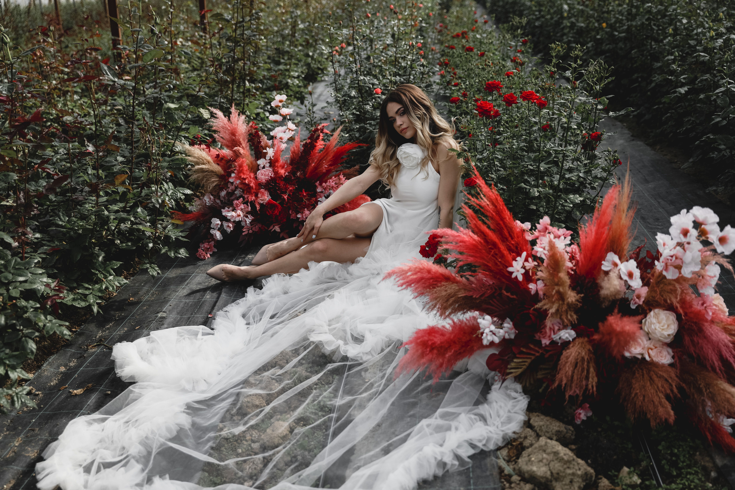 Илона и Максим розы. Свадебный и семейный фотограф в Севастополе и Крыму Анастасия Сураева