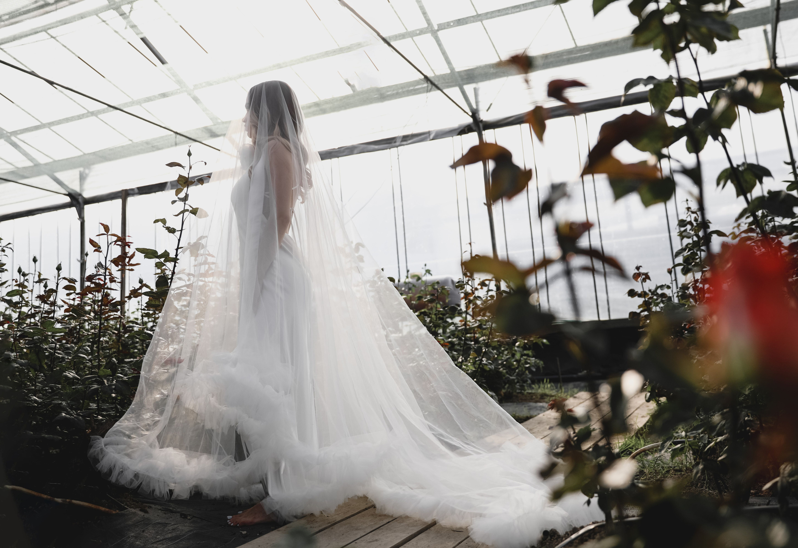 Илона и Максим розы. Свадебный и семейный фотограф в Севастополе и Крыму Анастасия Сураева