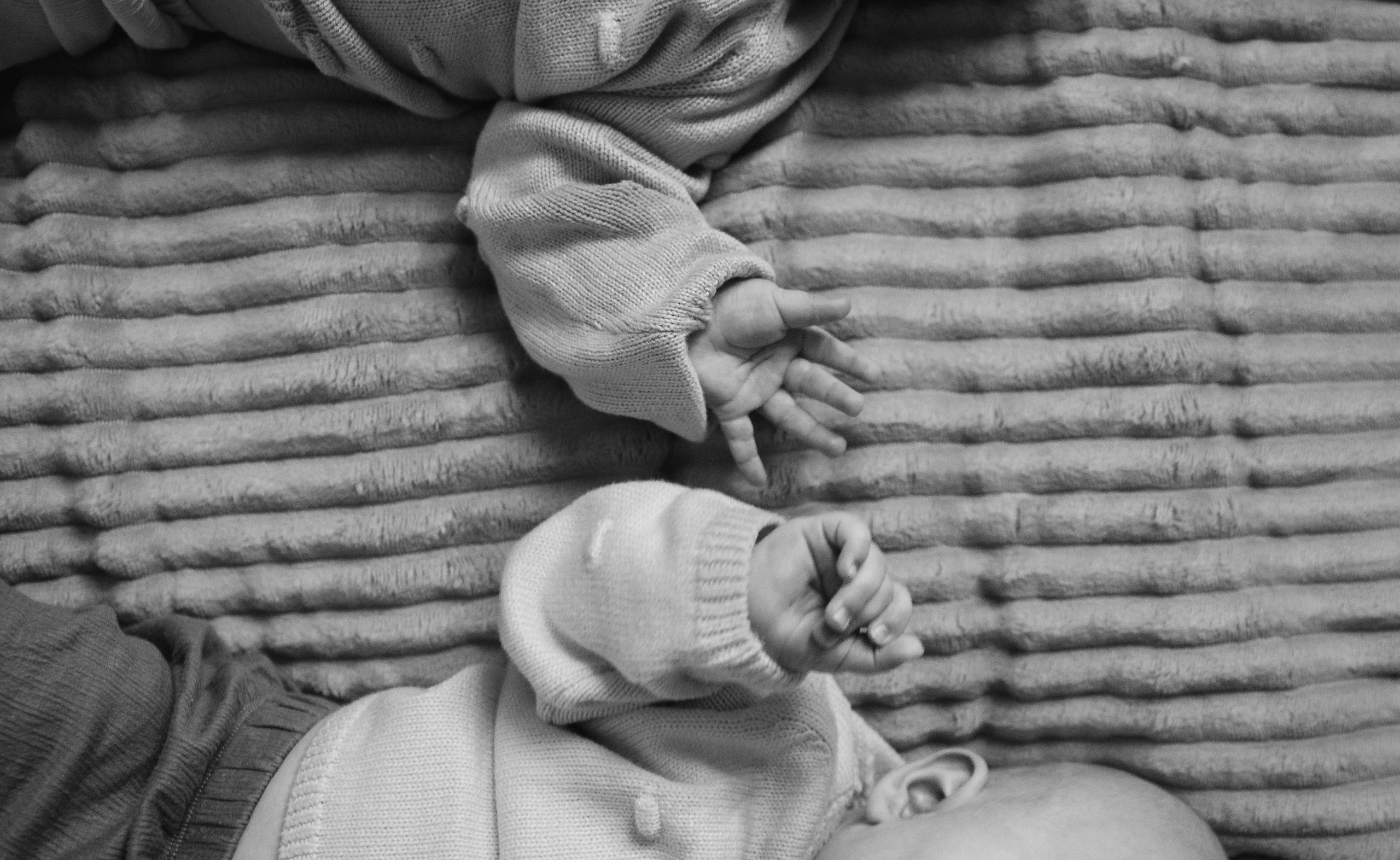 Саша дом. Свадебный и семейный фотограф в Севастополе и Крыму Анастасия Сураева