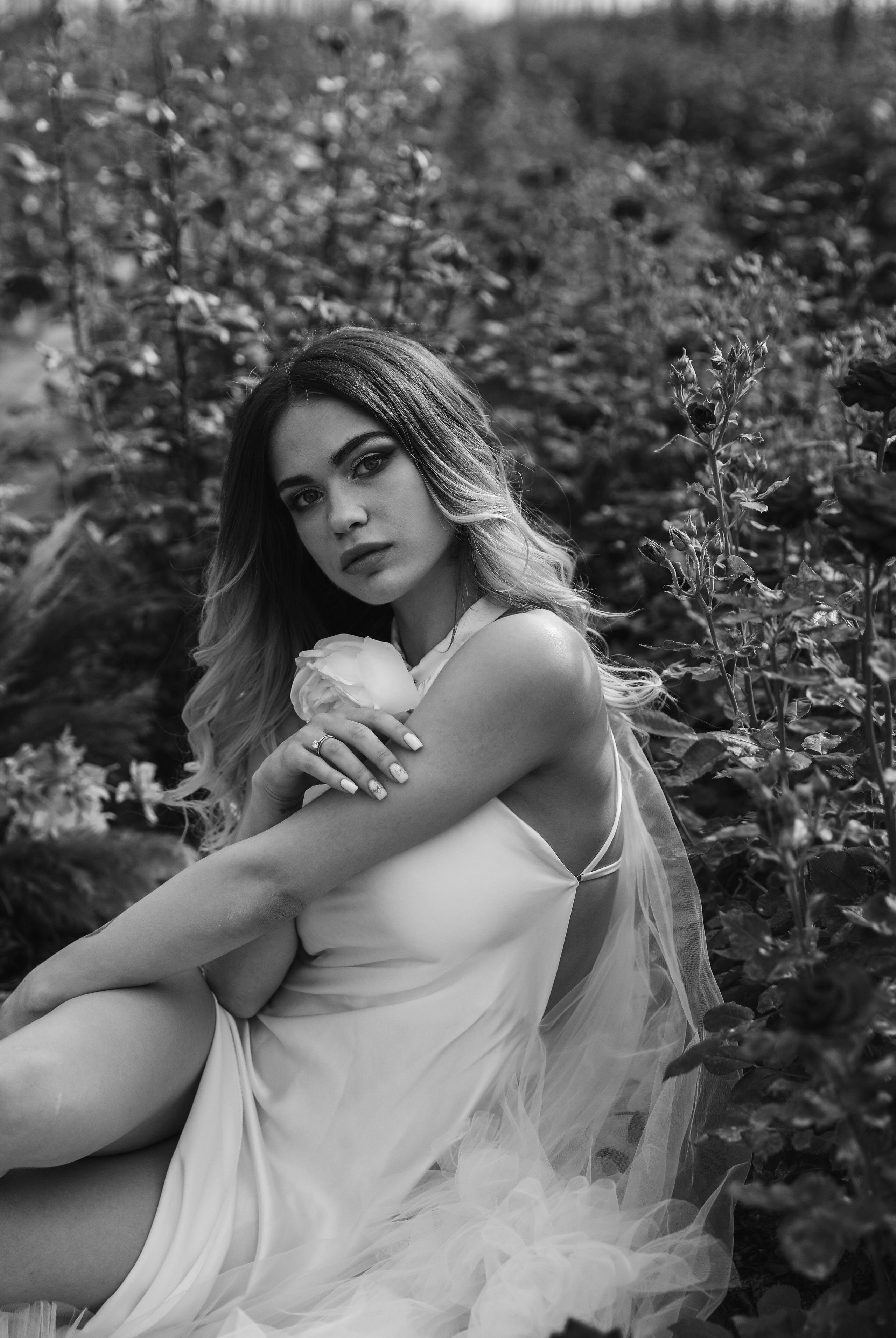 Илона и Максим розы. Свадебный и семейный фотограф в Севастополе и Крыму Анастасия Сураева