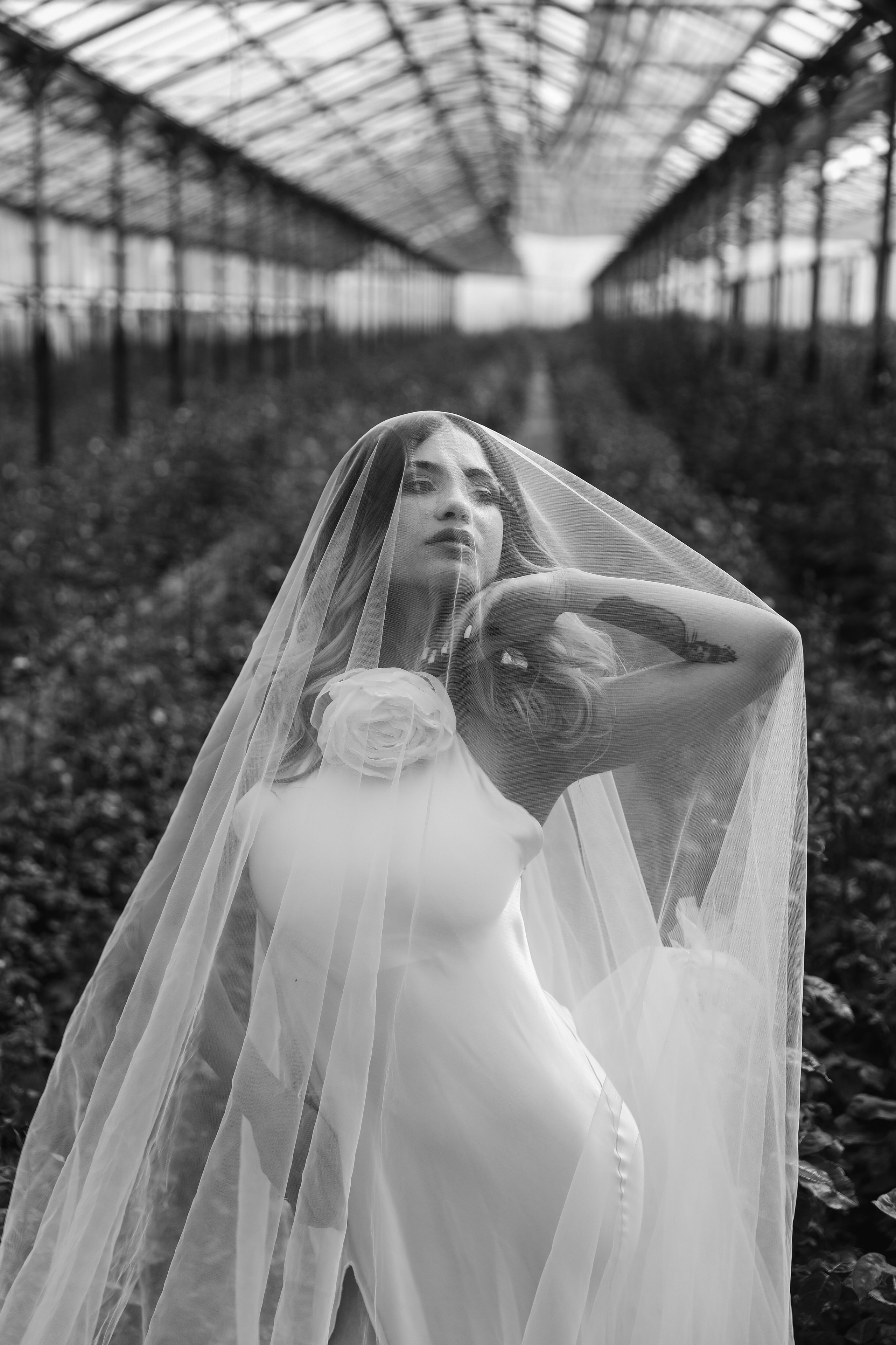 Илона и Максим розы. Свадебный и семейный фотограф в Севастополе и Крыму Анастасия Сураева