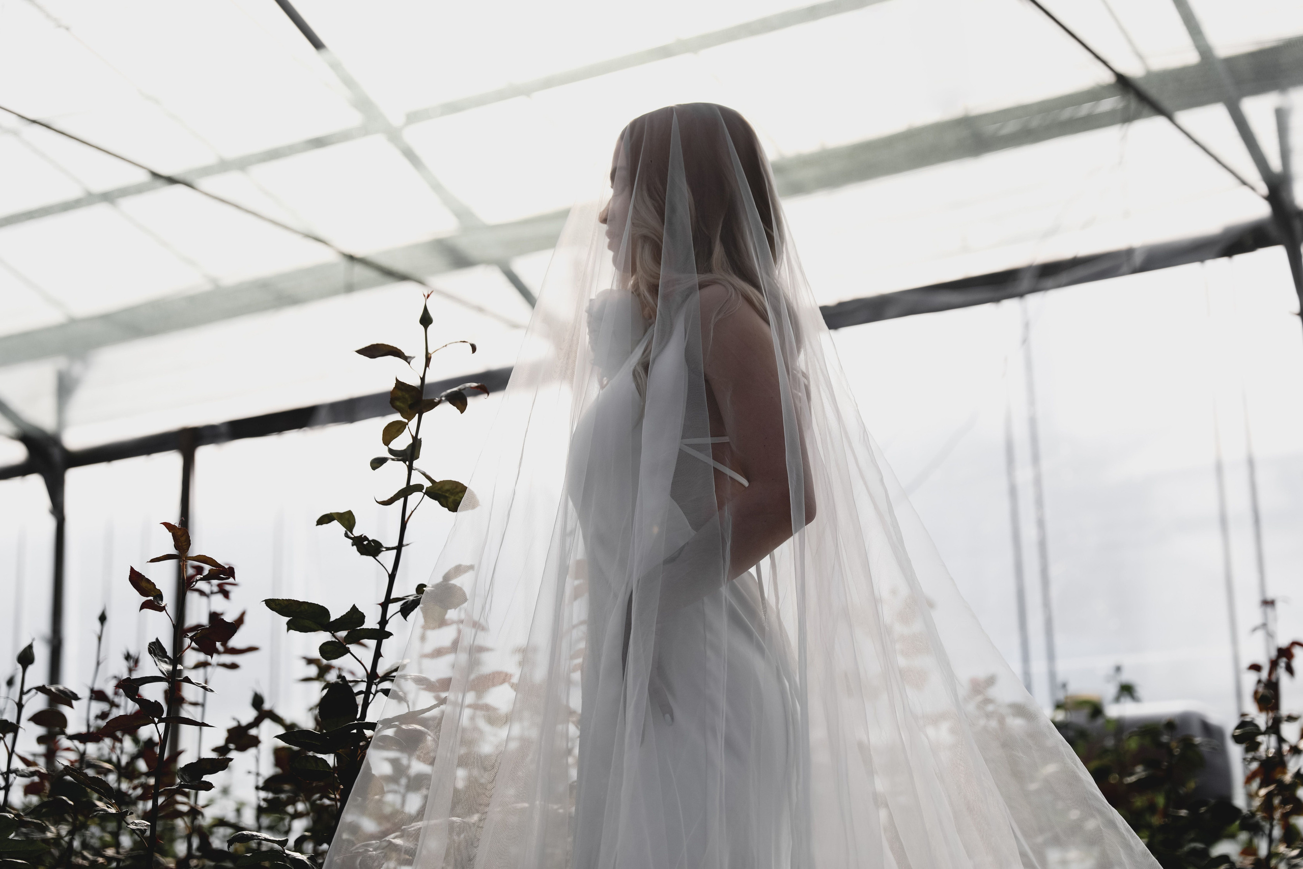 Илона и Максим розы. Свадебный и семейный фотограф в Севастополе и Крыму Анастасия Сураева