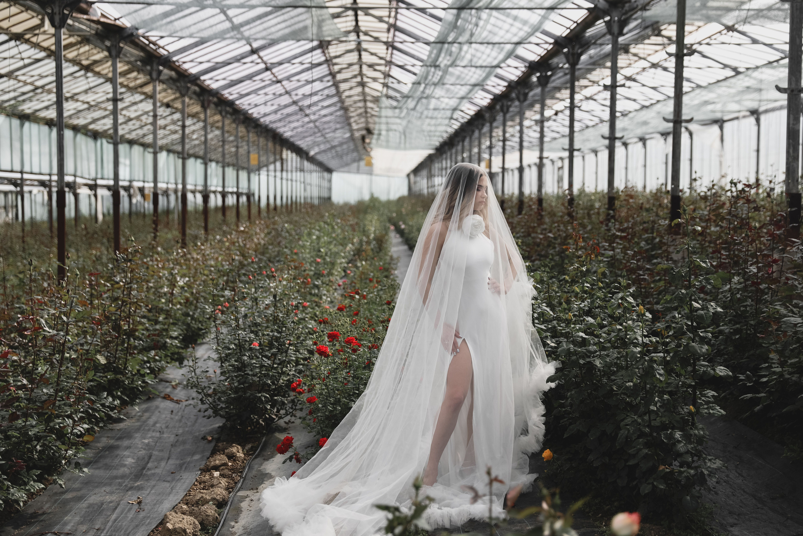 Илона и Максим розы. Свадебный и семейный фотограф в Севастополе и Крыму Анастасия Сураева