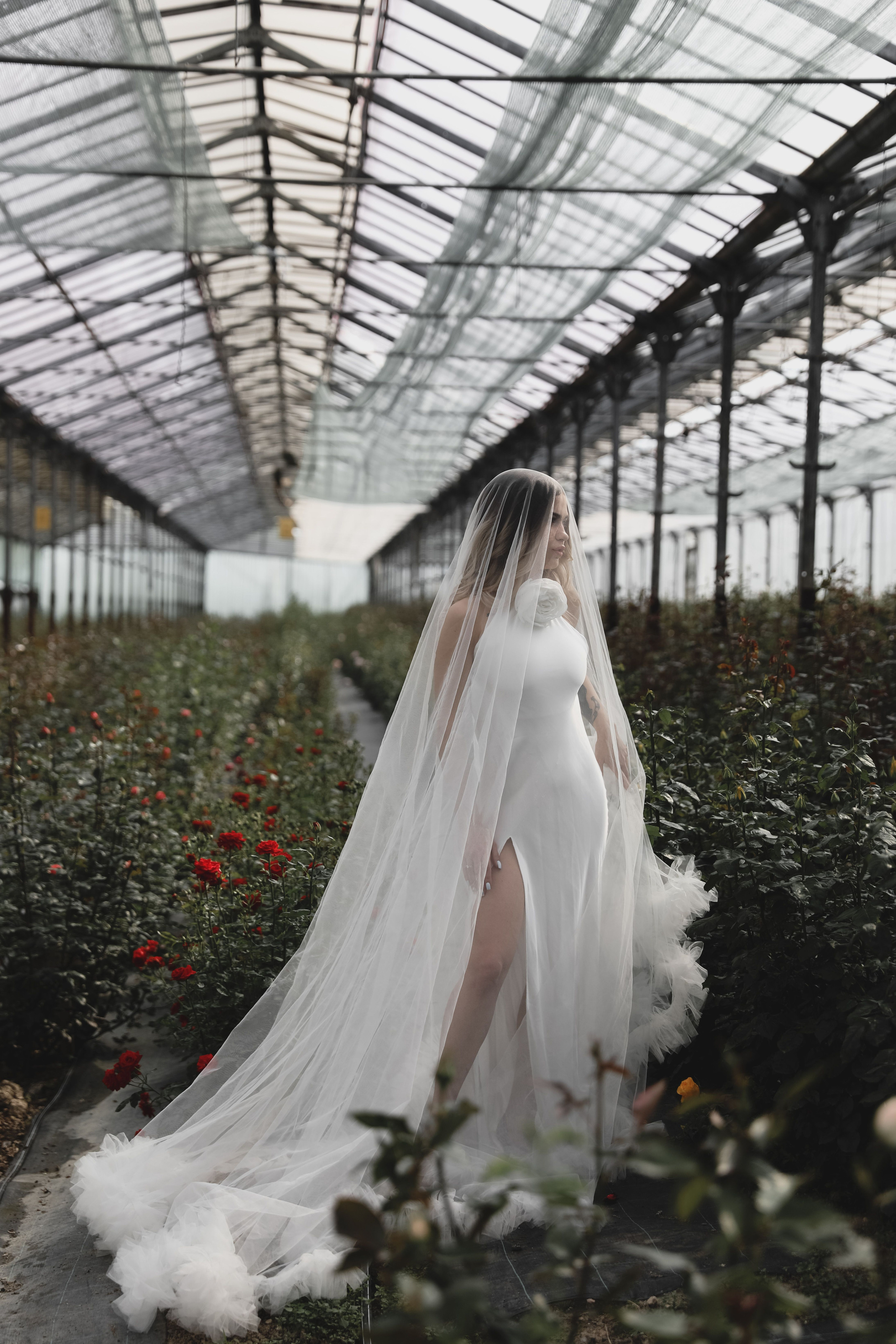 Илона и Максим розы. Свадебный и семейный фотограф в Севастополе и Крыму Анастасия Сураева