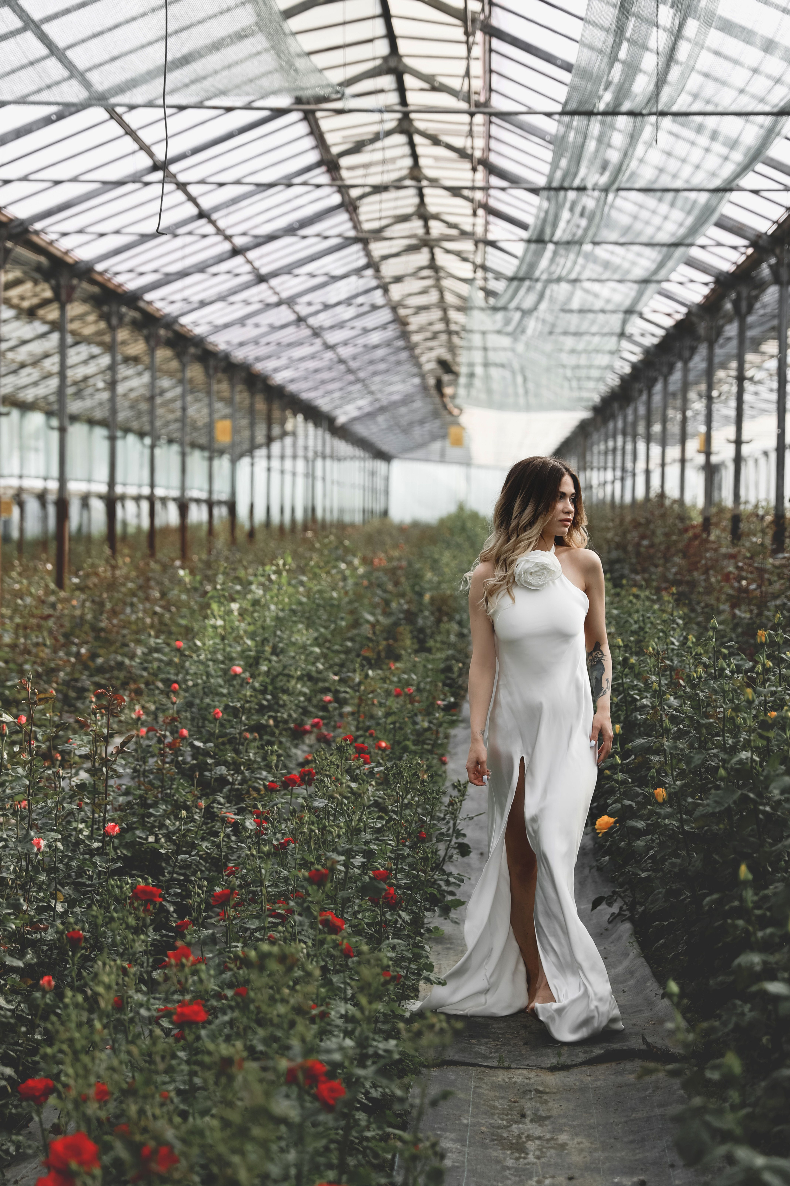 Илона и Максим розы. Свадебный и семейный фотограф в Севастополе и Крыму Анастасия Сураева