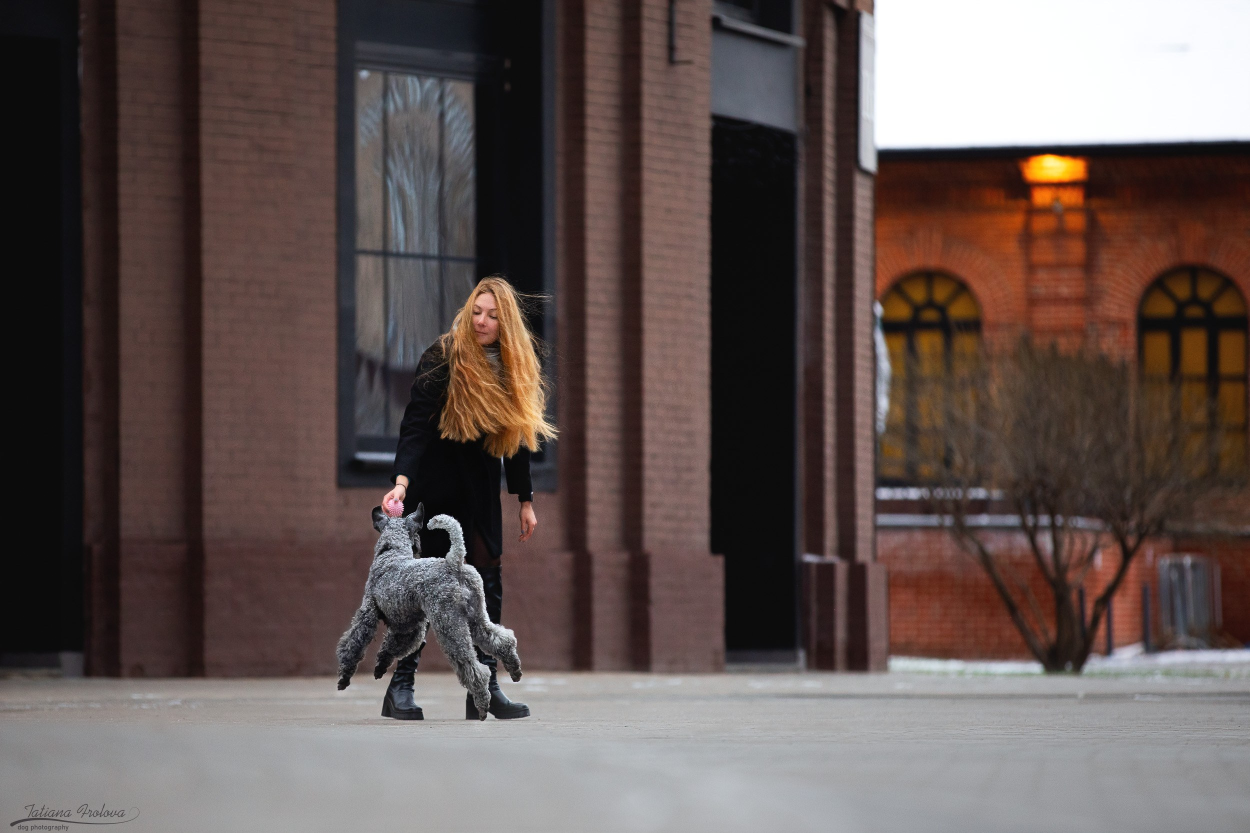 Городская съемка в стиле лайфстайл. Фотограф-анималист в Москве и Московской области Татьяна Фролова