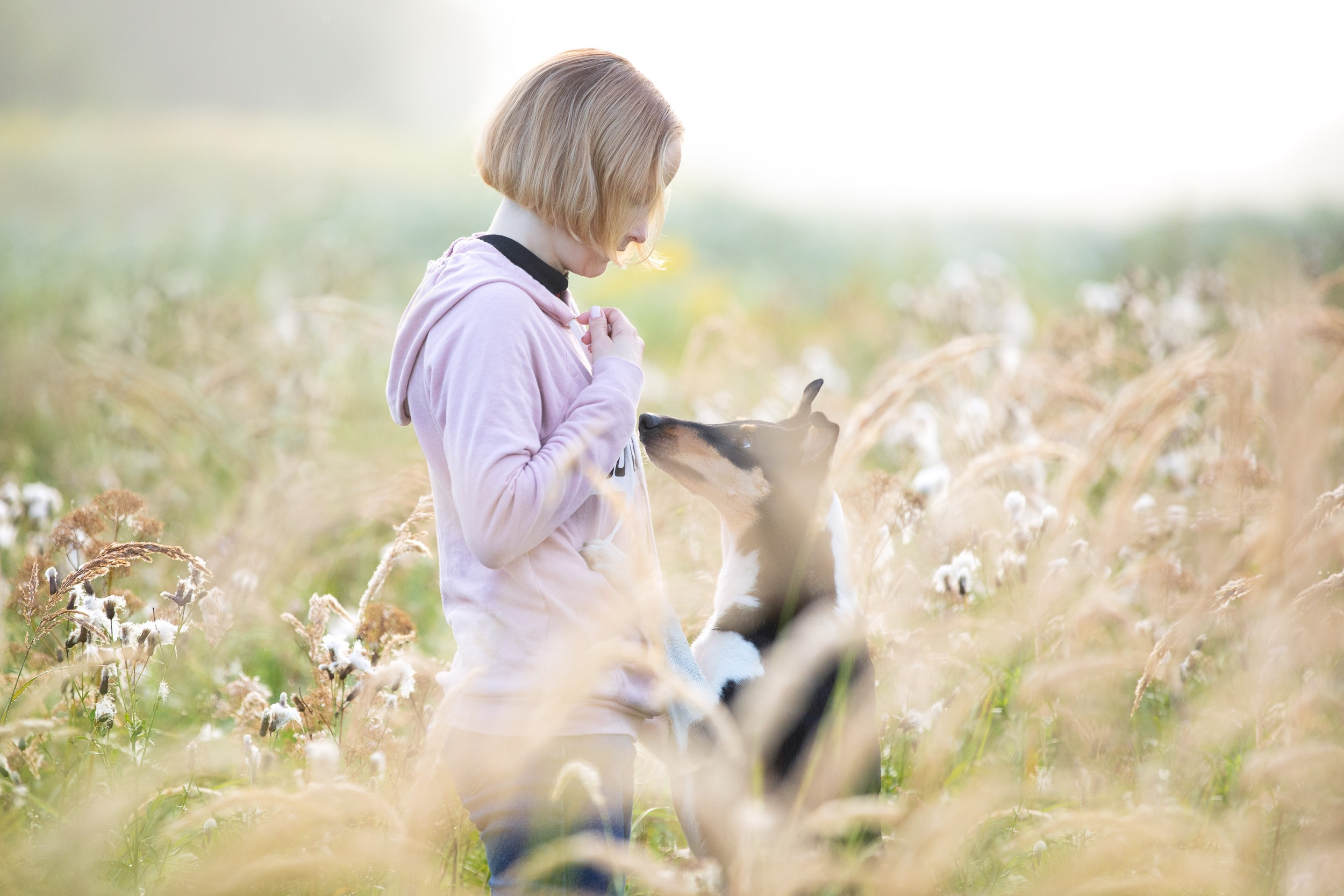 Наташа и короткошерстные колли. Фотограф-анималист в Москве и Московской области Татьяна Фролова