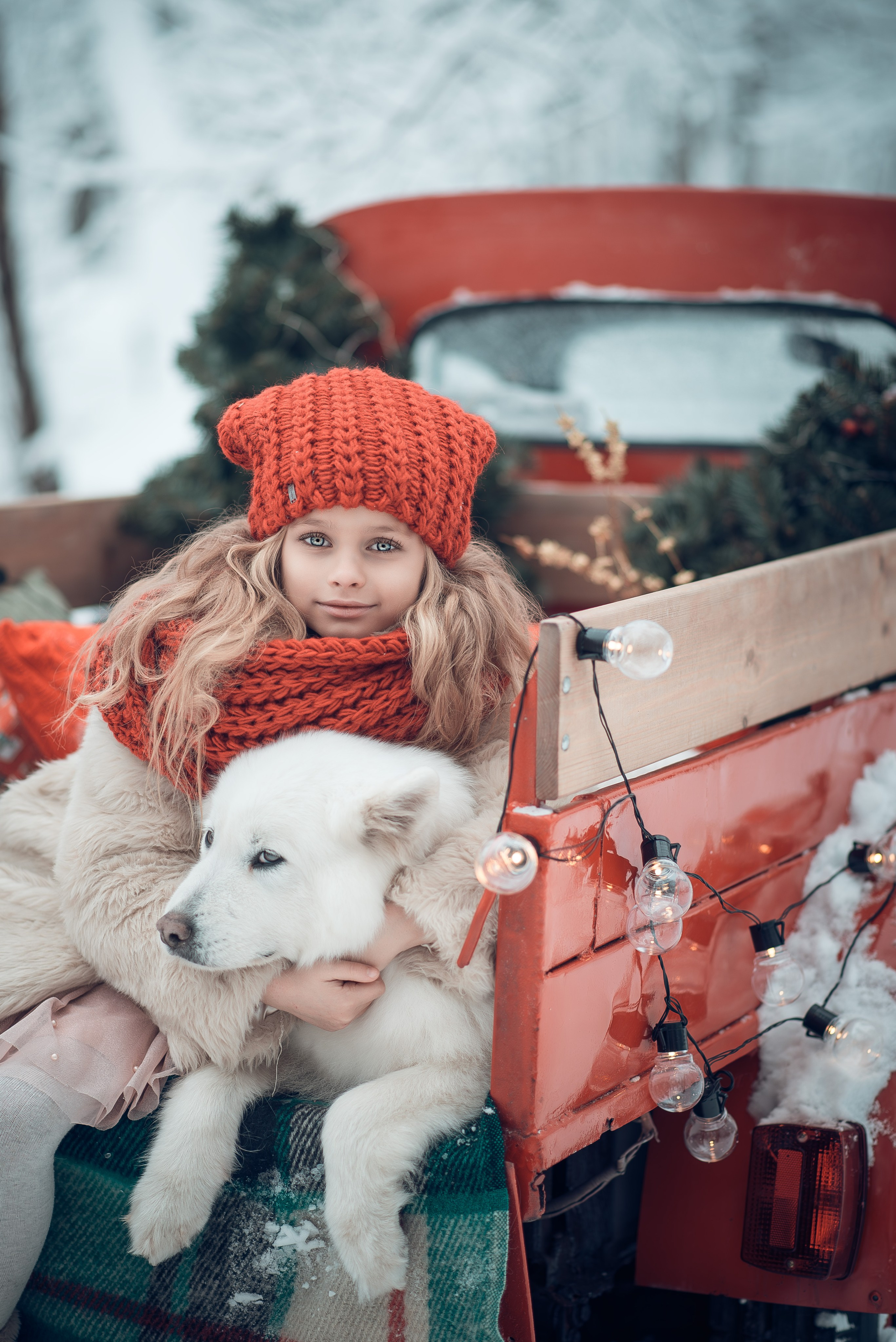Фотосессия с собаками