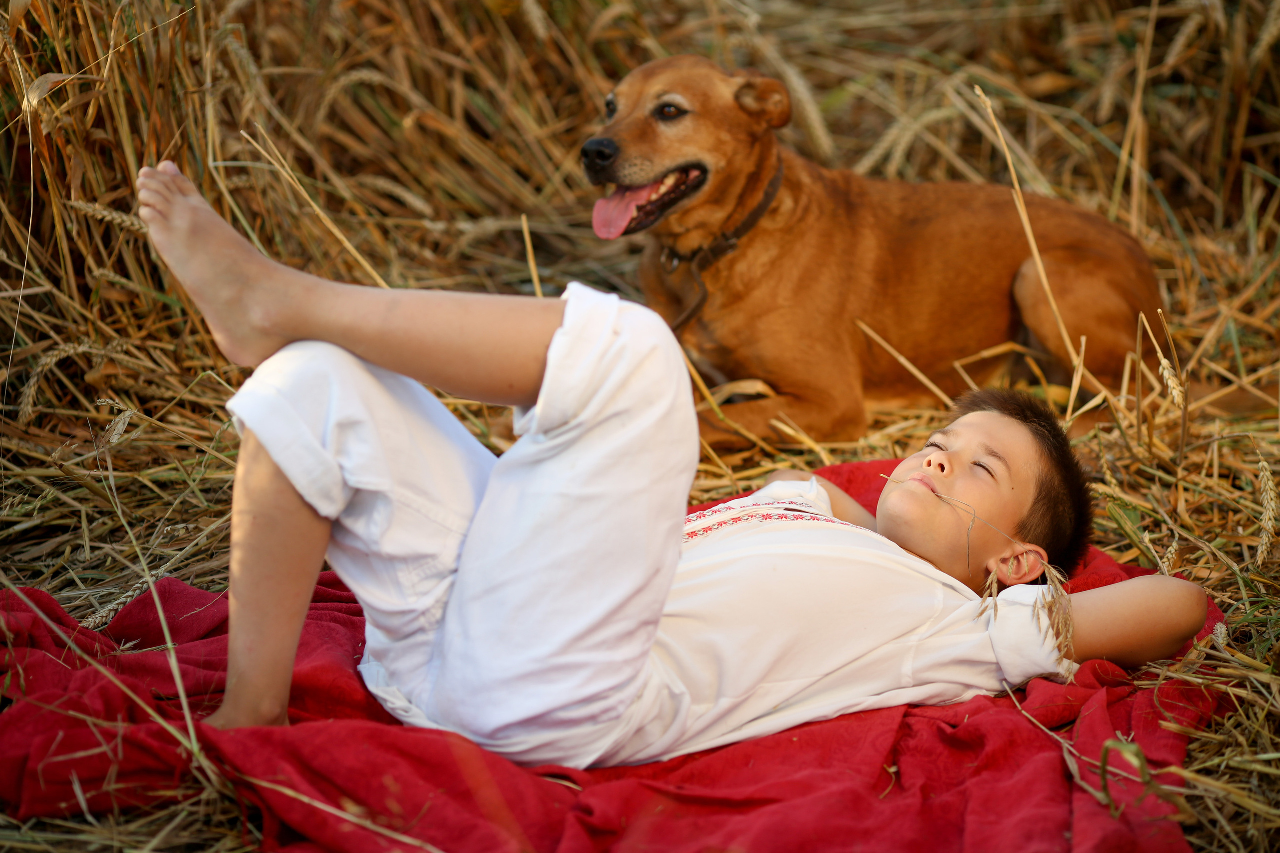 Лето. Школьные фотоальбомы, фотосессии, шаблоны фотокниг, школьный фотограф