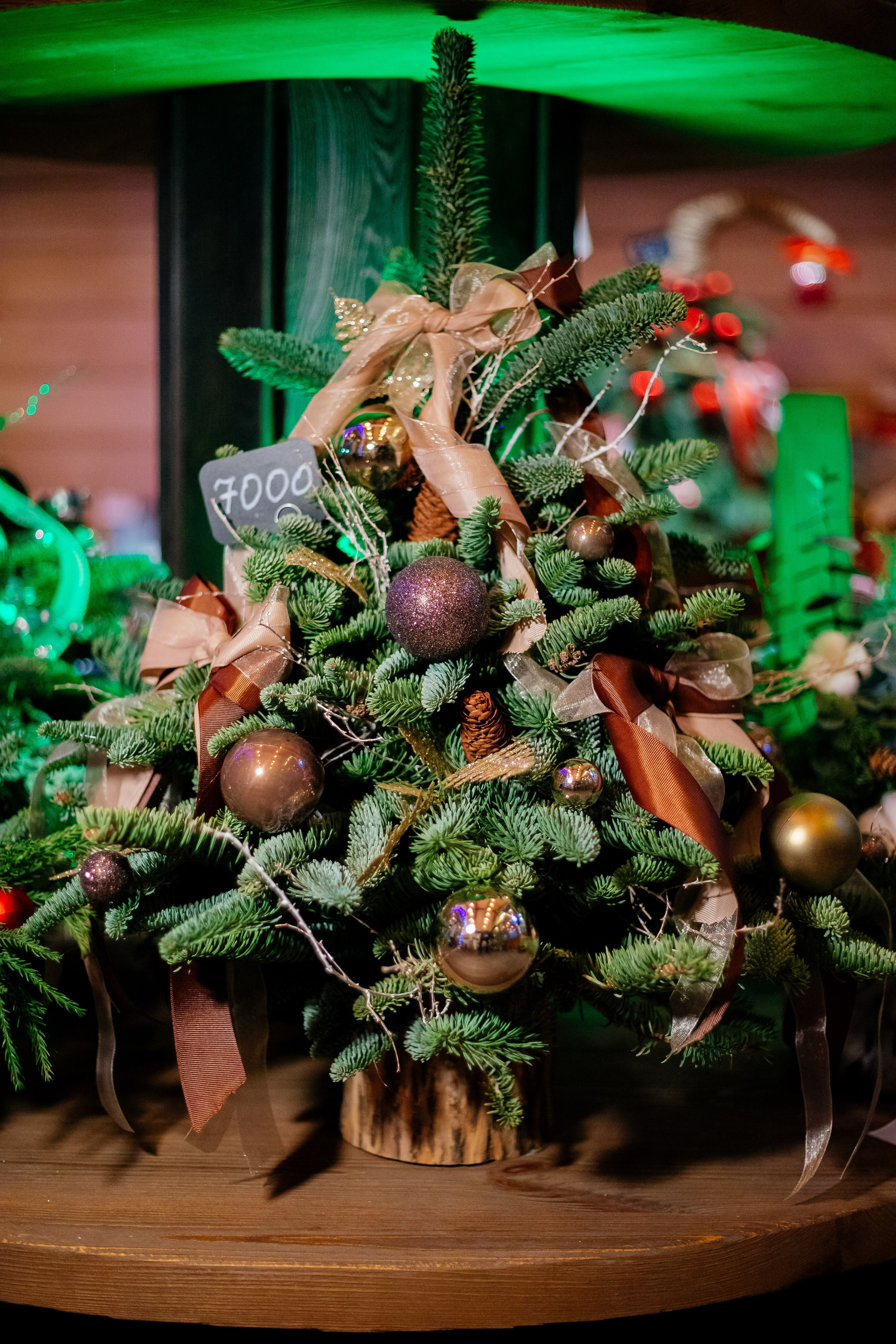 Ёлки I Авито. Репортажный и портретный фотограф в Екатеринбурге Гизатуллин Марат