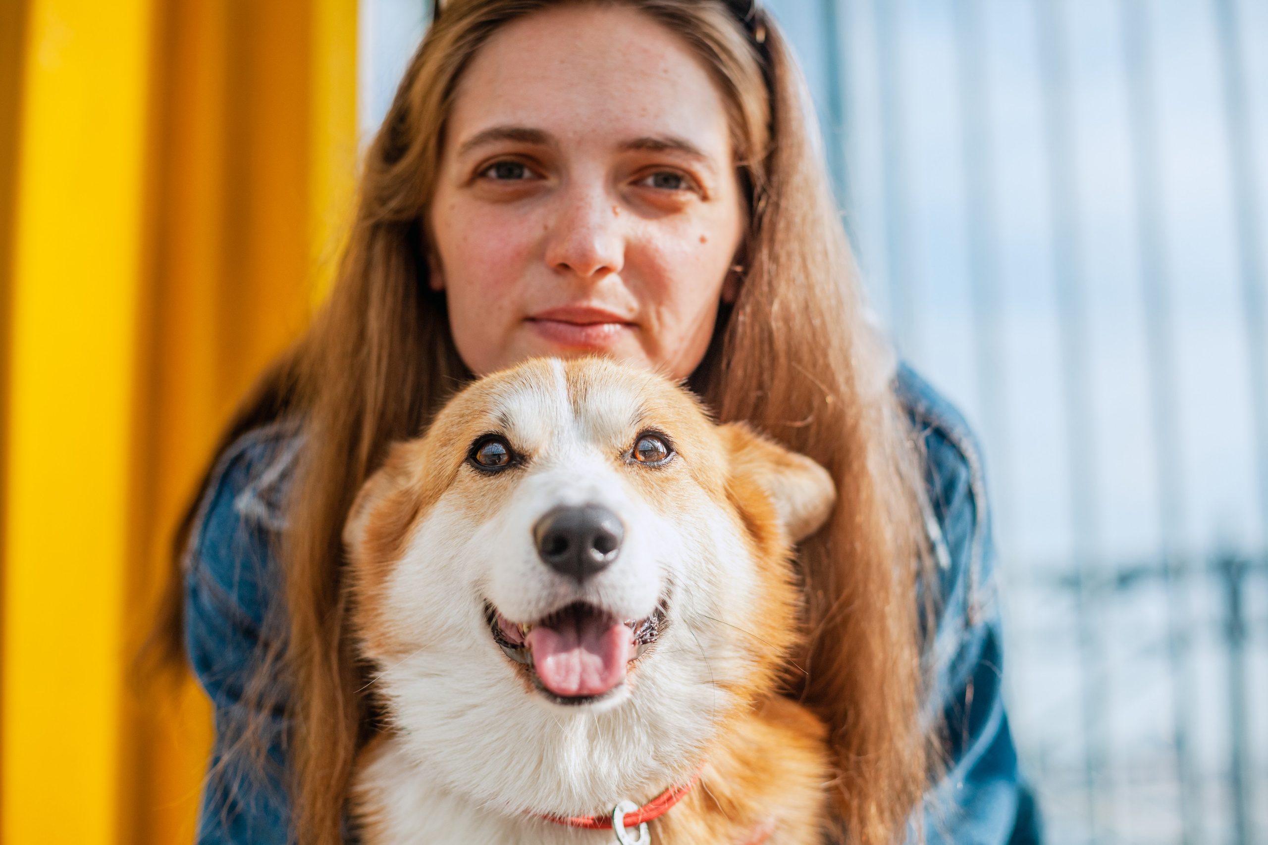 Андреевский мост. Фотограф-анималист Татьяна Степанова