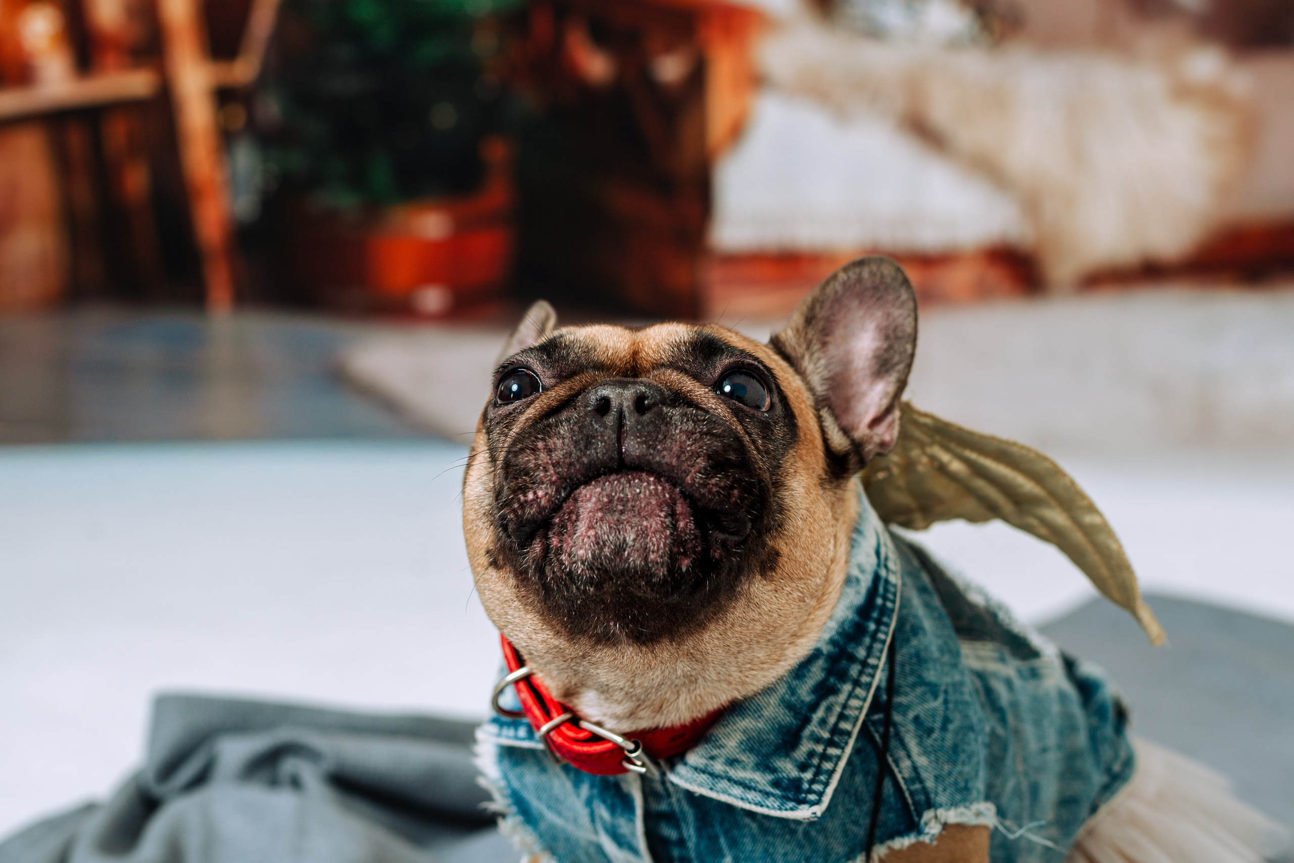 Бульвстреча 2025. Фотограф-анималист Татьяна Степанова