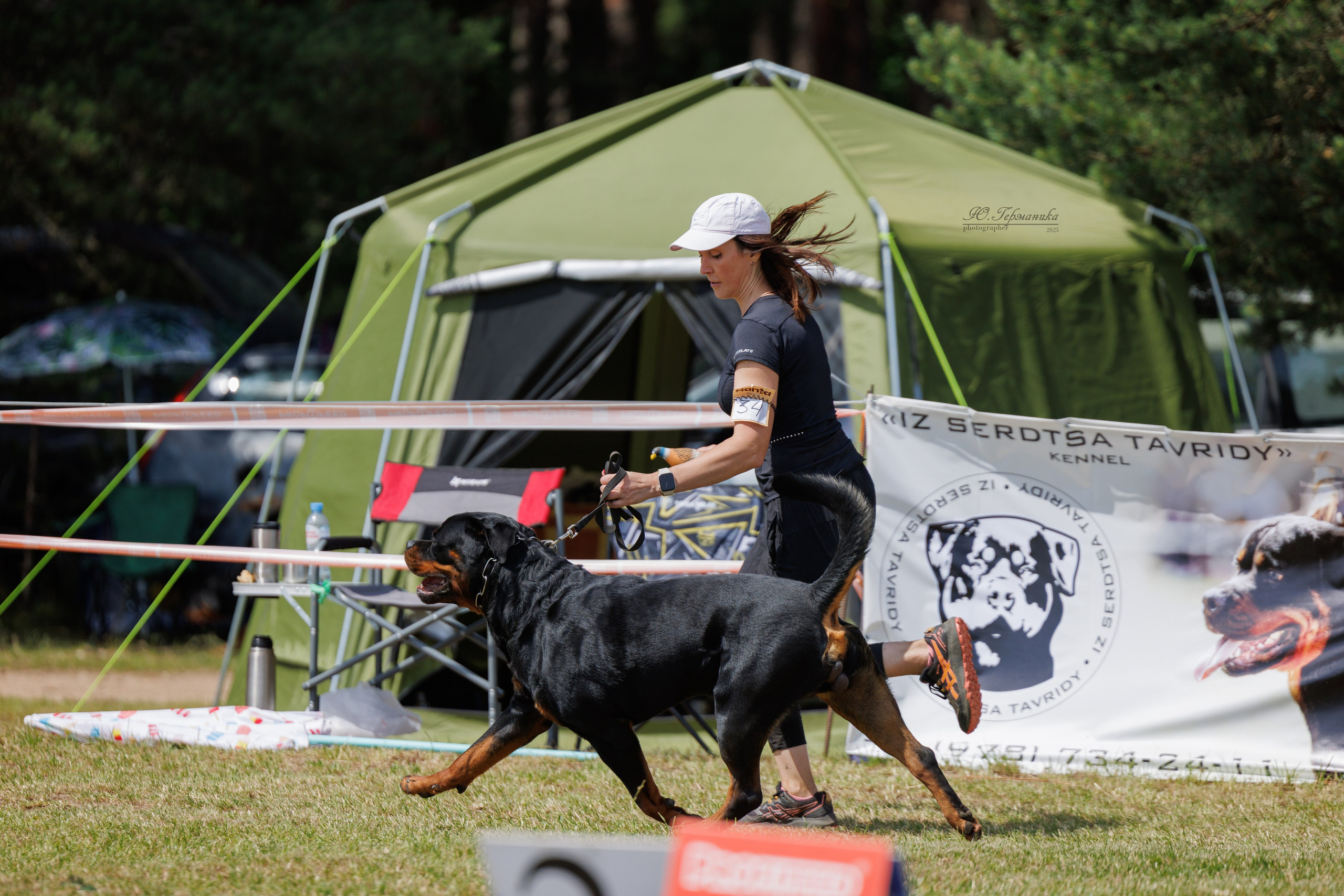 Тверь ротвейлеры 5-6.07.2025. Фотограф-анималист Юлия Германика