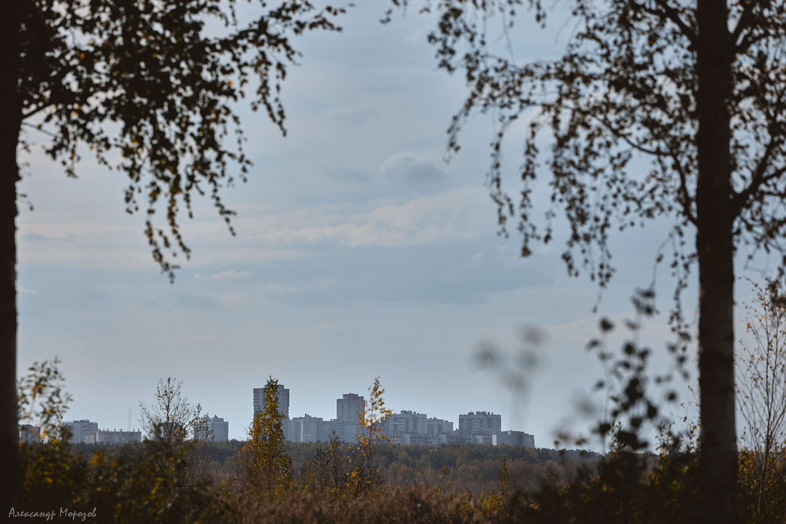 Осень в деталях. Фотограф в Екатеринбурге Александр Морозов