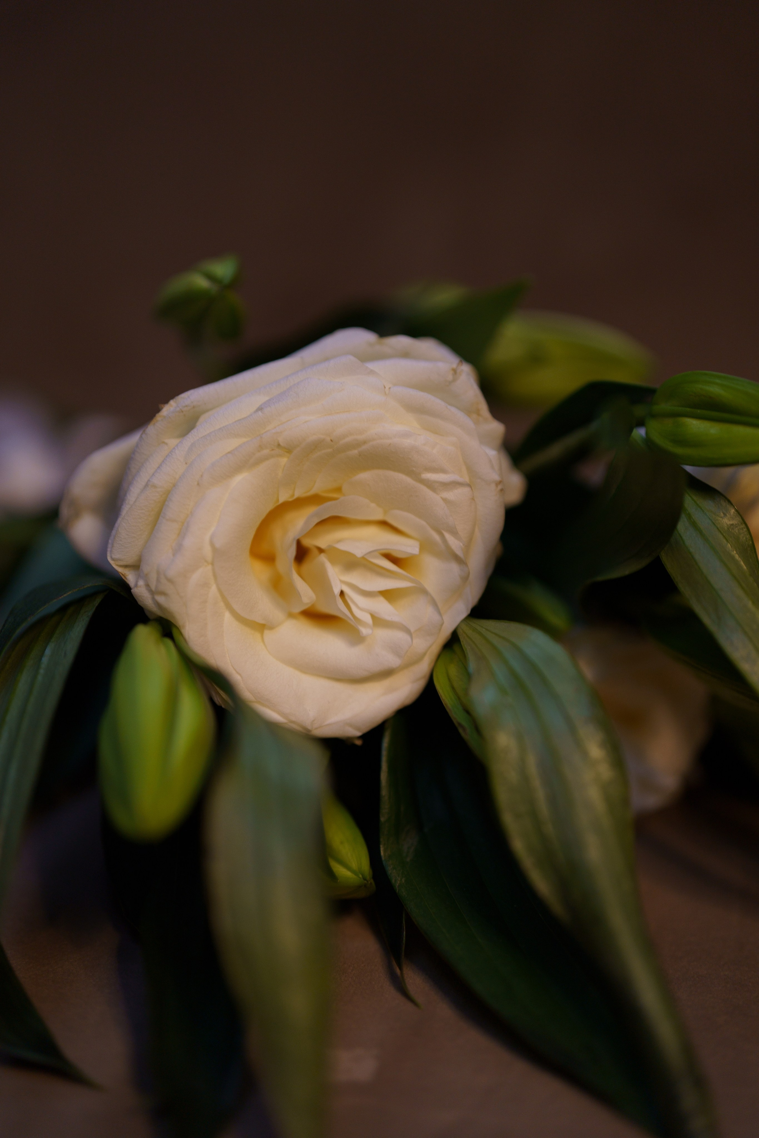 Камила & Роберт. Семейный и детский фотограф в Сергиев Посаде, Хотьково Якимчук Любовь