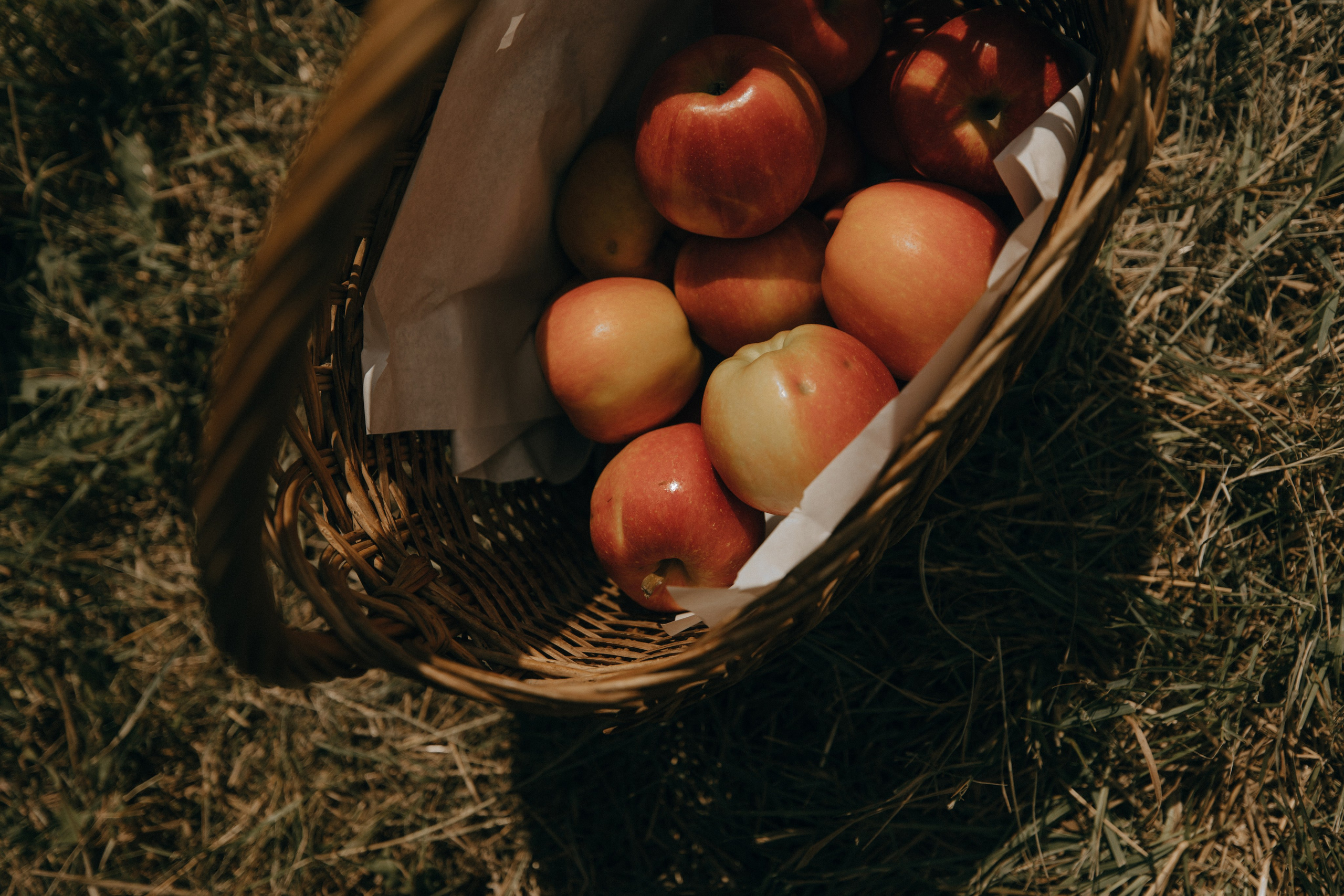 26.08.2023 Сохраняя традиции. Фотограф в Белгороде Анастасия Веленгурская