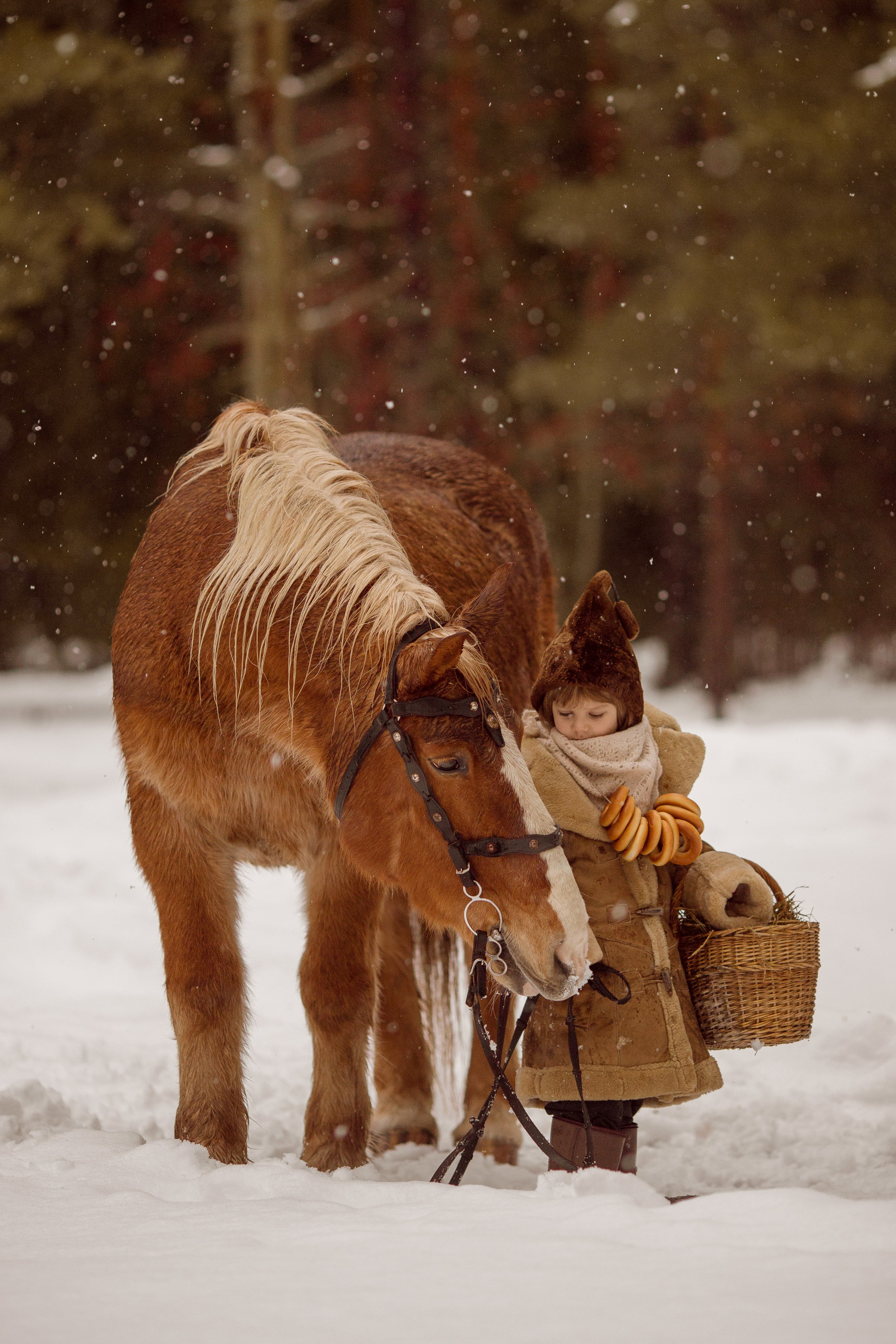 Фото мальчика и лошади зимой
