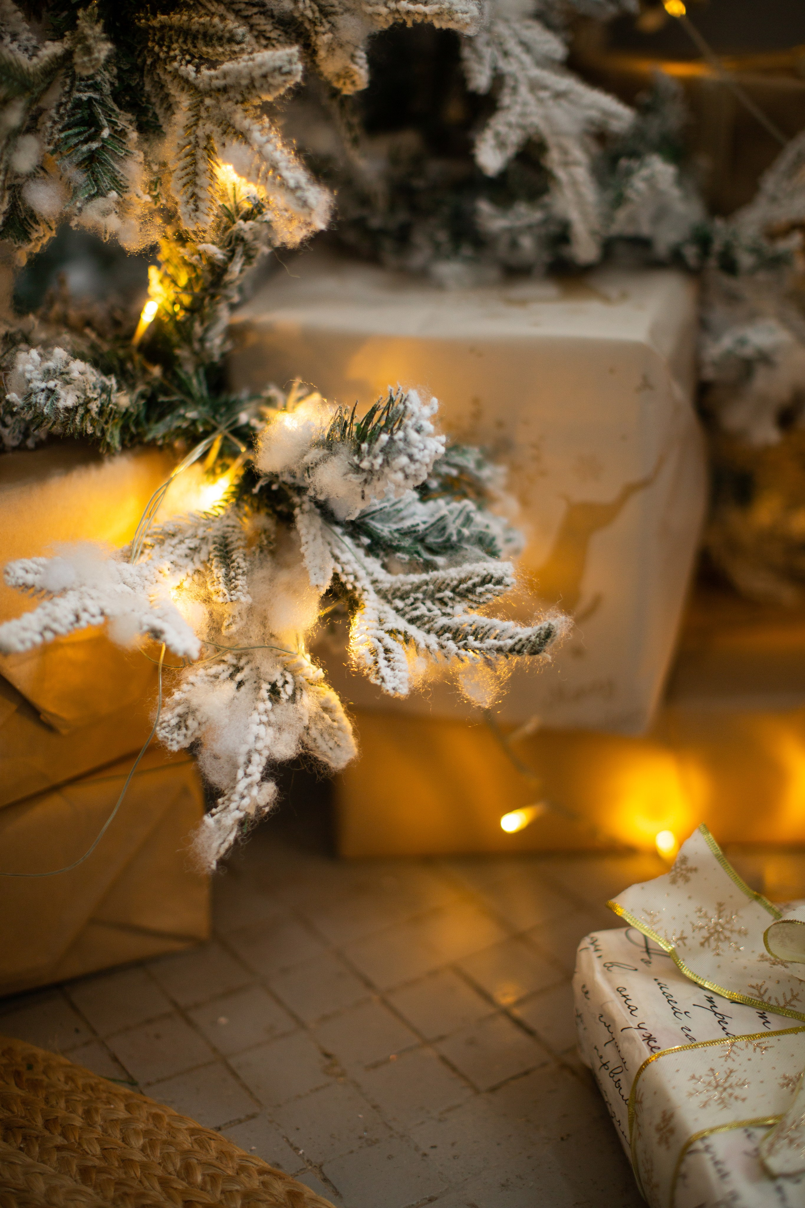 Нг24. Фотограф НатаФото (Наталья Яковенко) Дмитров Москва Питер