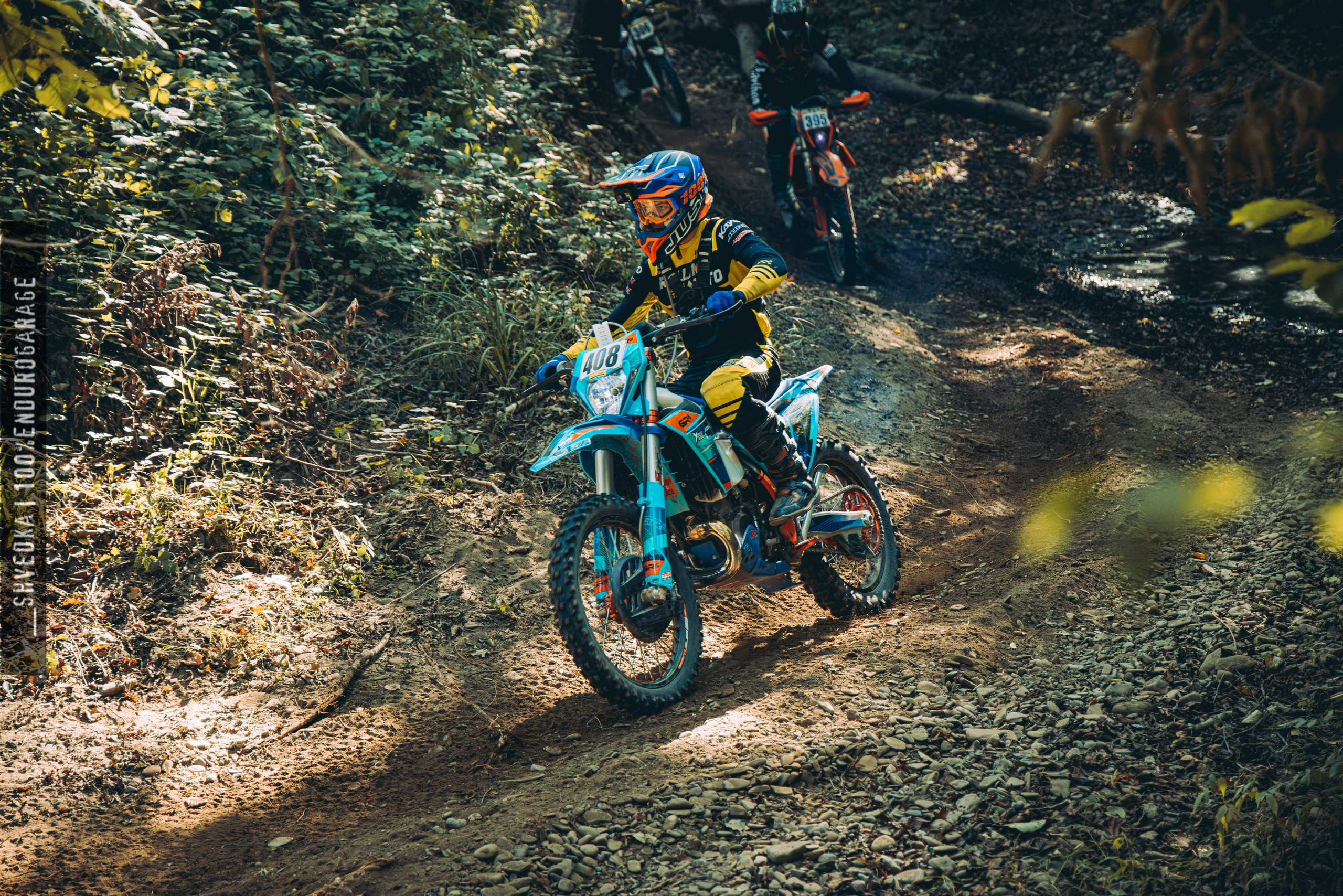 2 лесной день. Ваш экстрим фотограф Кудрева Яна