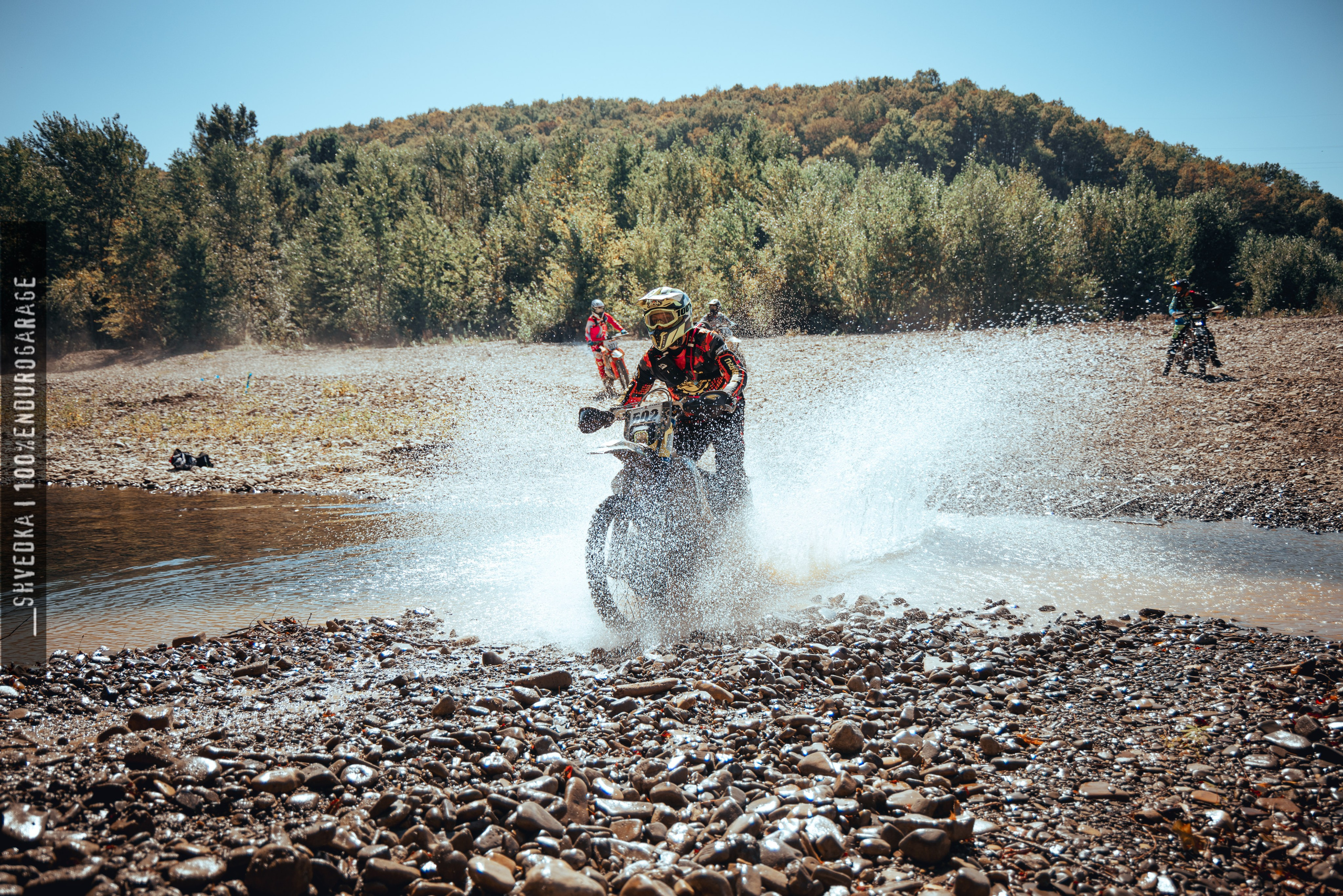 1 лесной день. Ваш экстрим фотограф Кудрева Яна