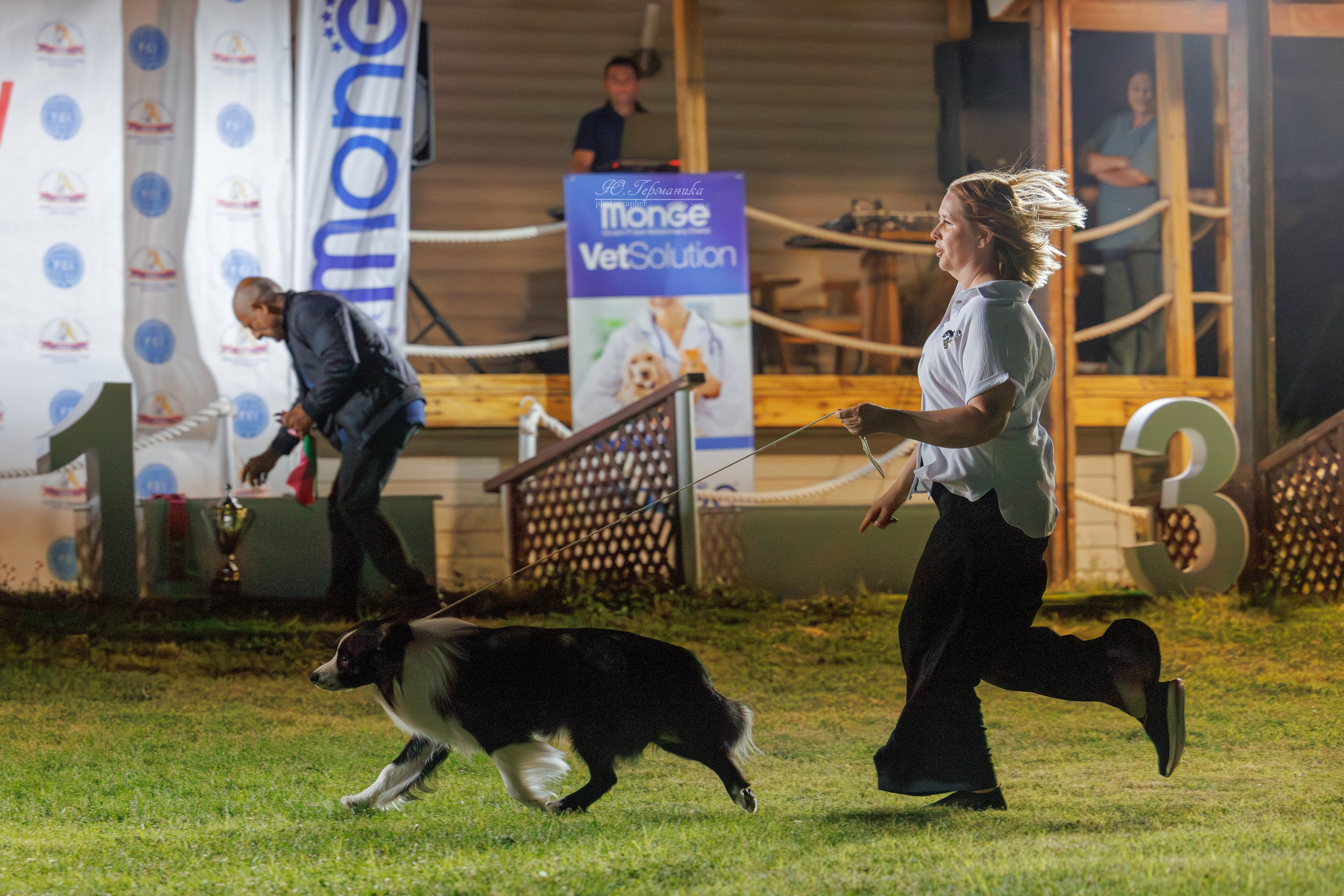 Ереван 3хCACIB 23-25.06.2025. Фотограф-анималист Юлия Германика