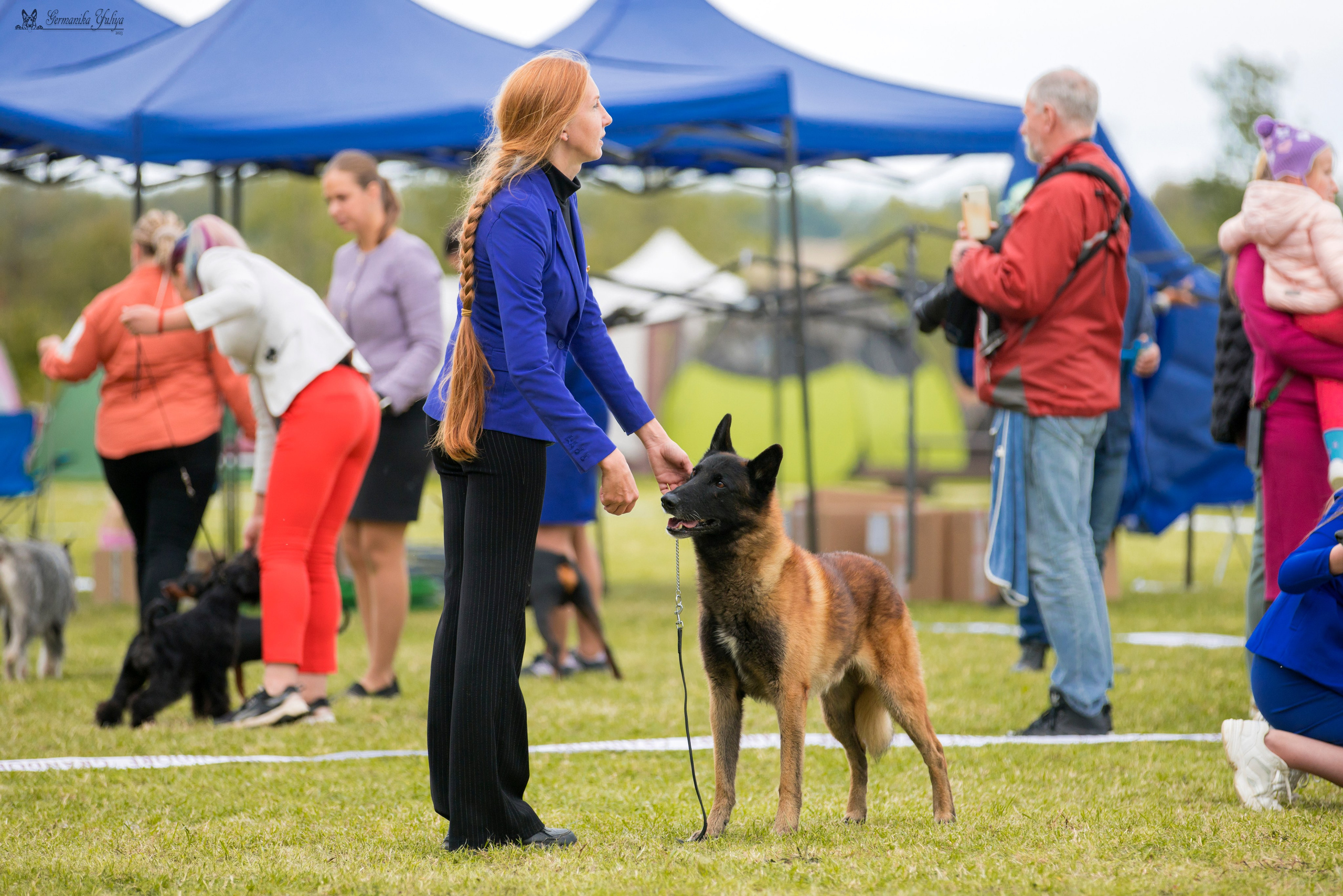 Переславль 9-10.09.2023. Фотограф-анималист Юлия Германика