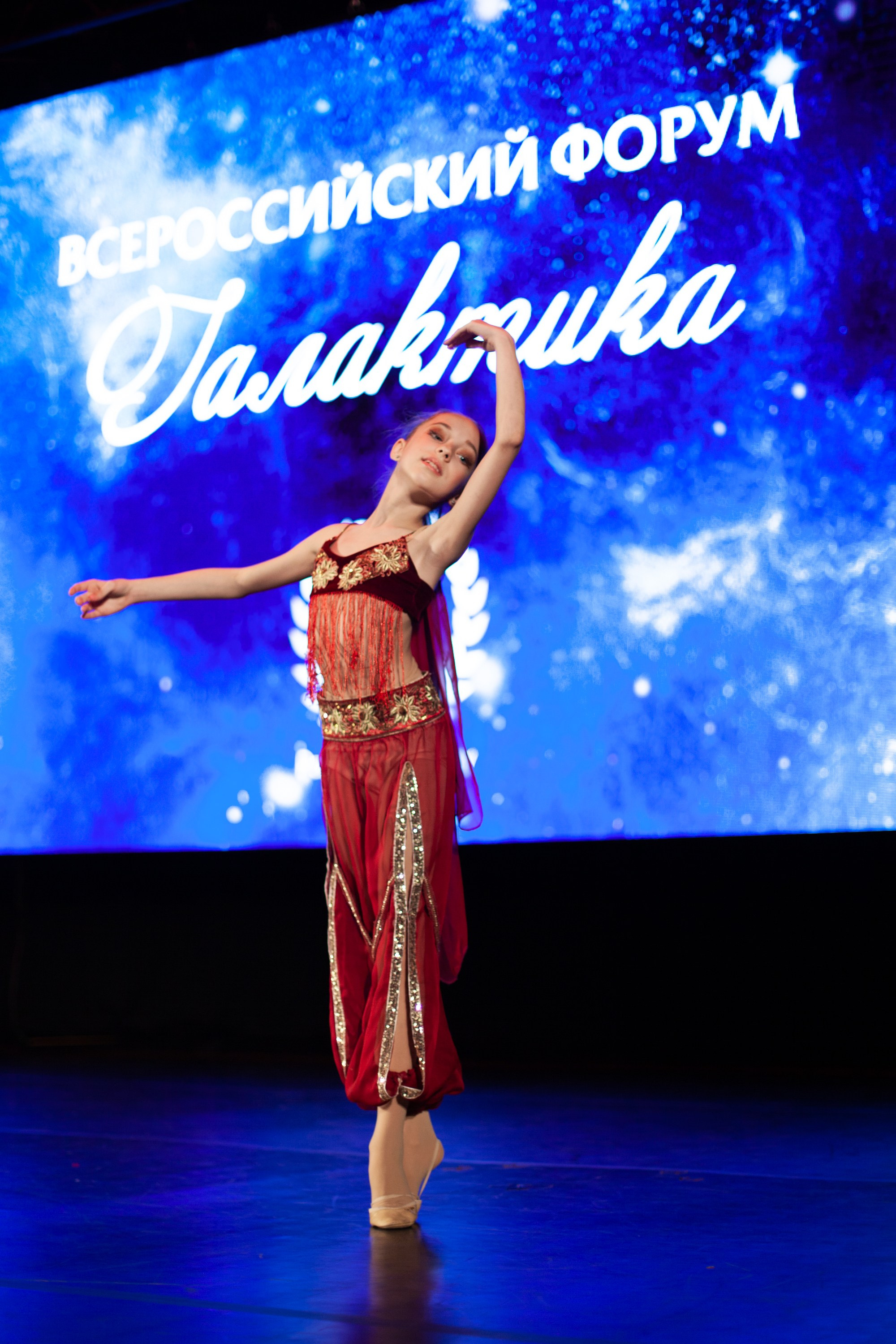 Концерты. Виолетта Скрипка