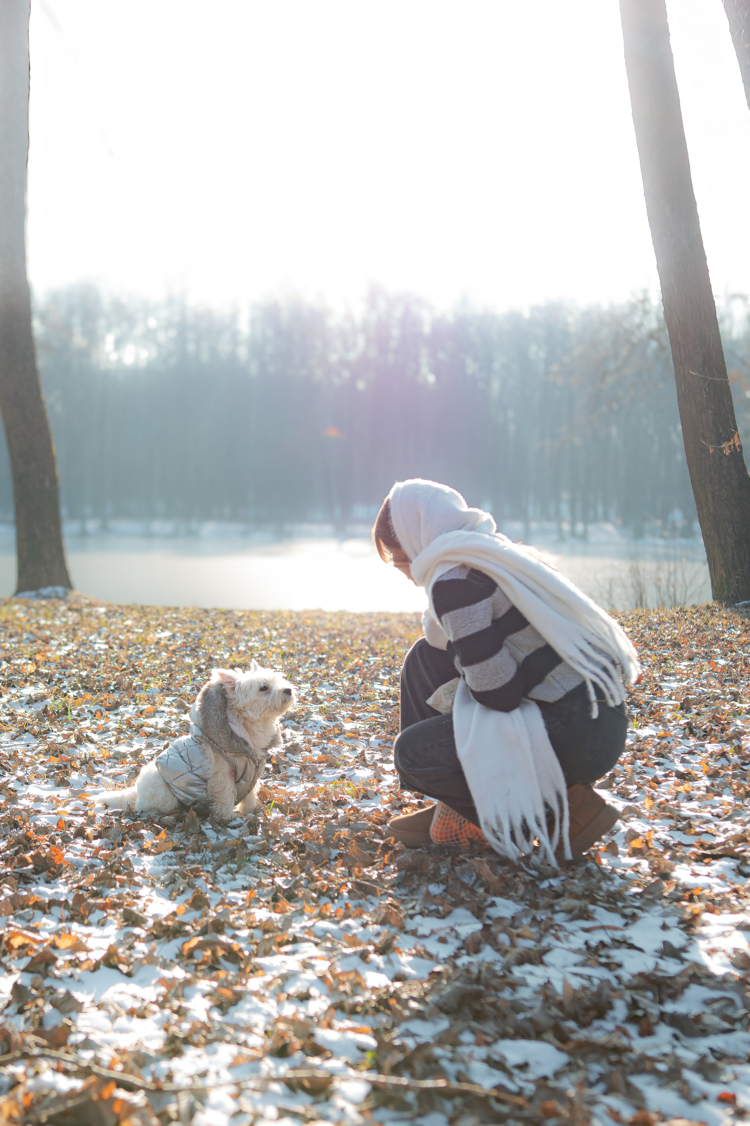 Фотосессия с щенком Минск