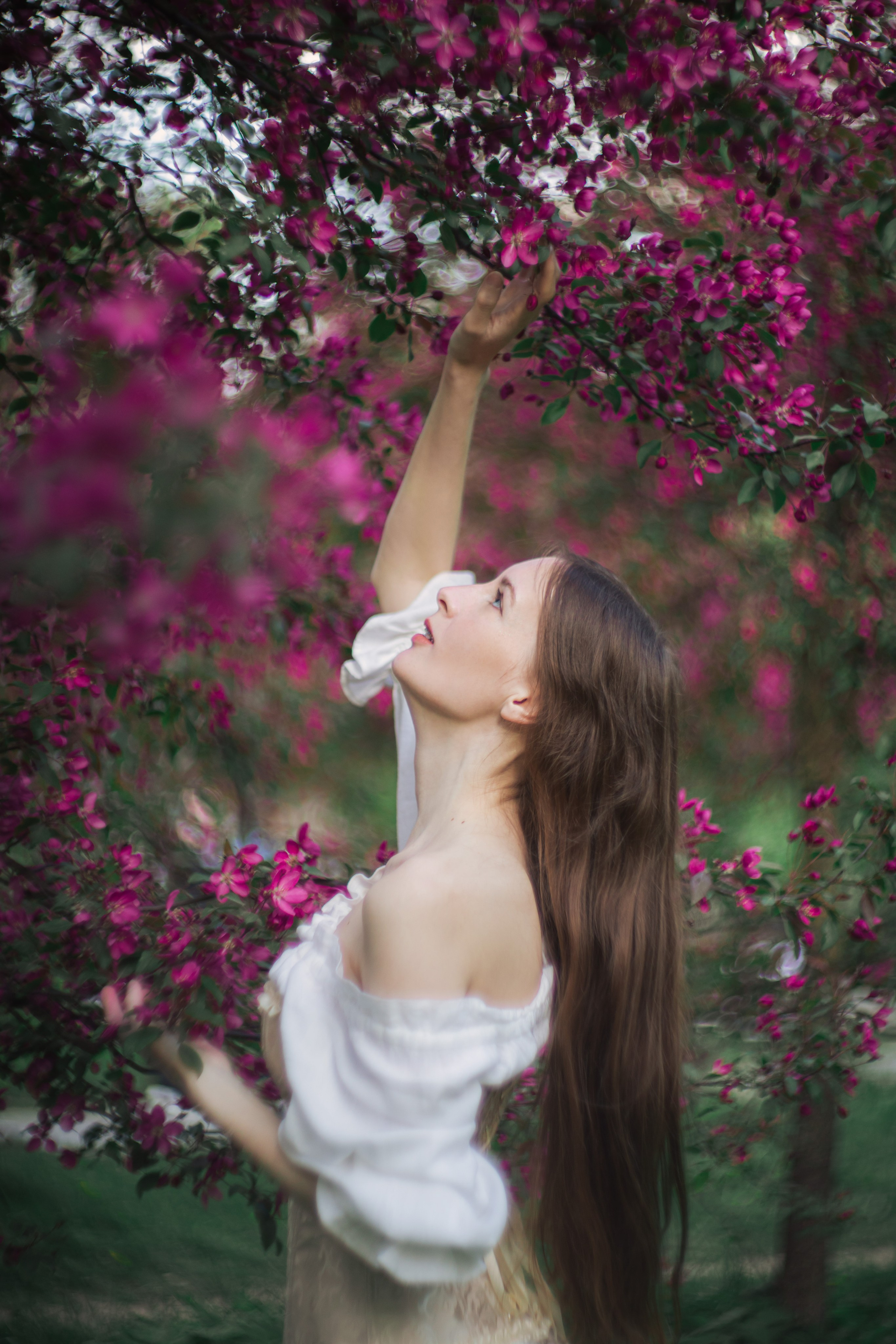 Пикник в розовых яблонях. Юлия Башкатова, сказочный фотограф, Москва