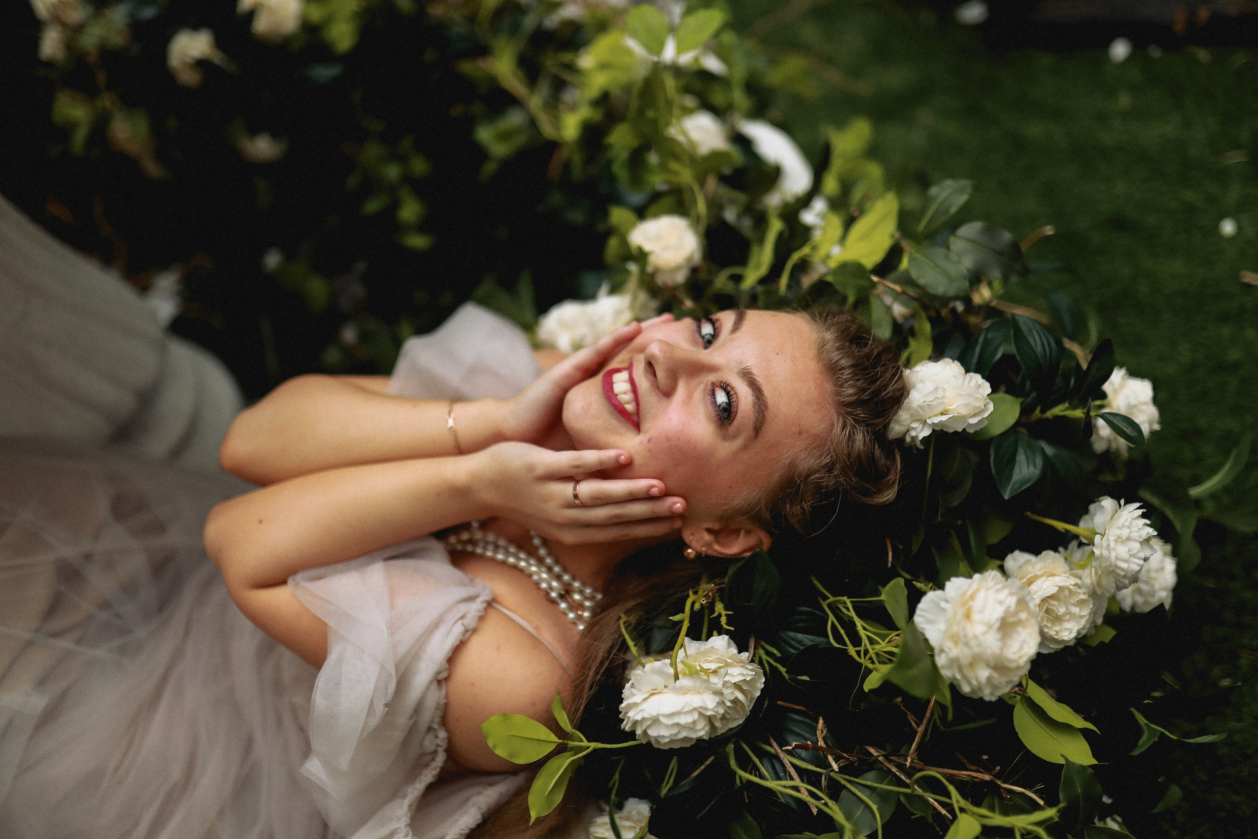 Зачарованный лес