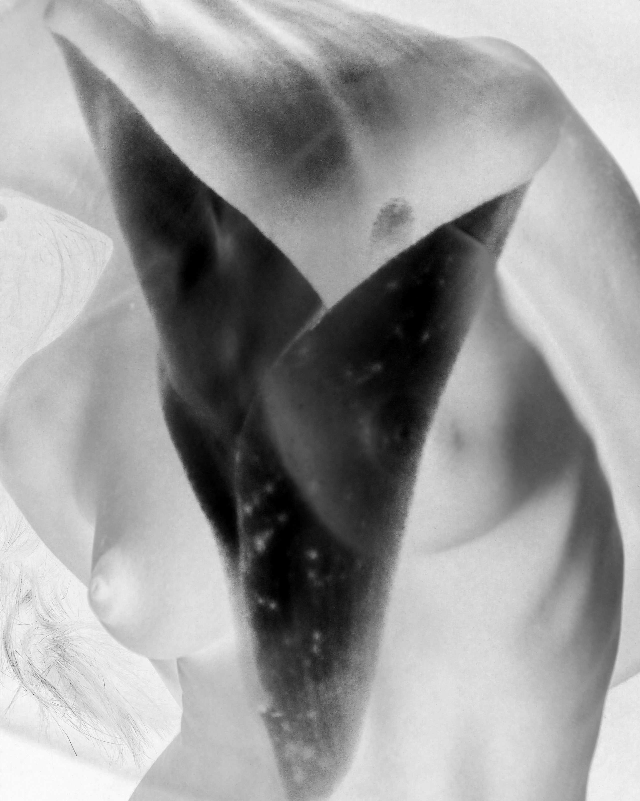 FIGUR. Контент-креатор Паша Норицын