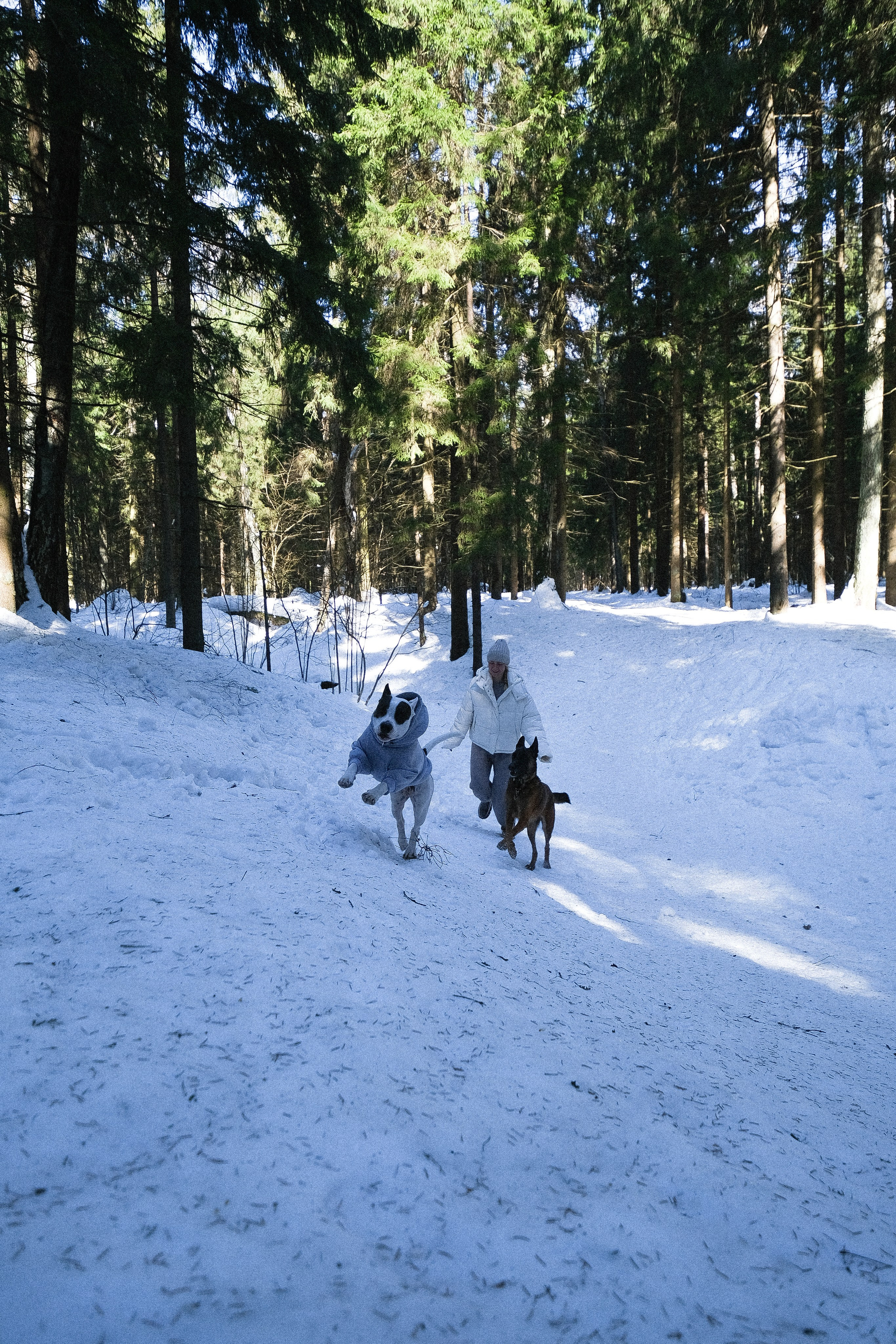 Женя, Афра и Молли. Фотограф и видеограф анималист Аганина Дарья