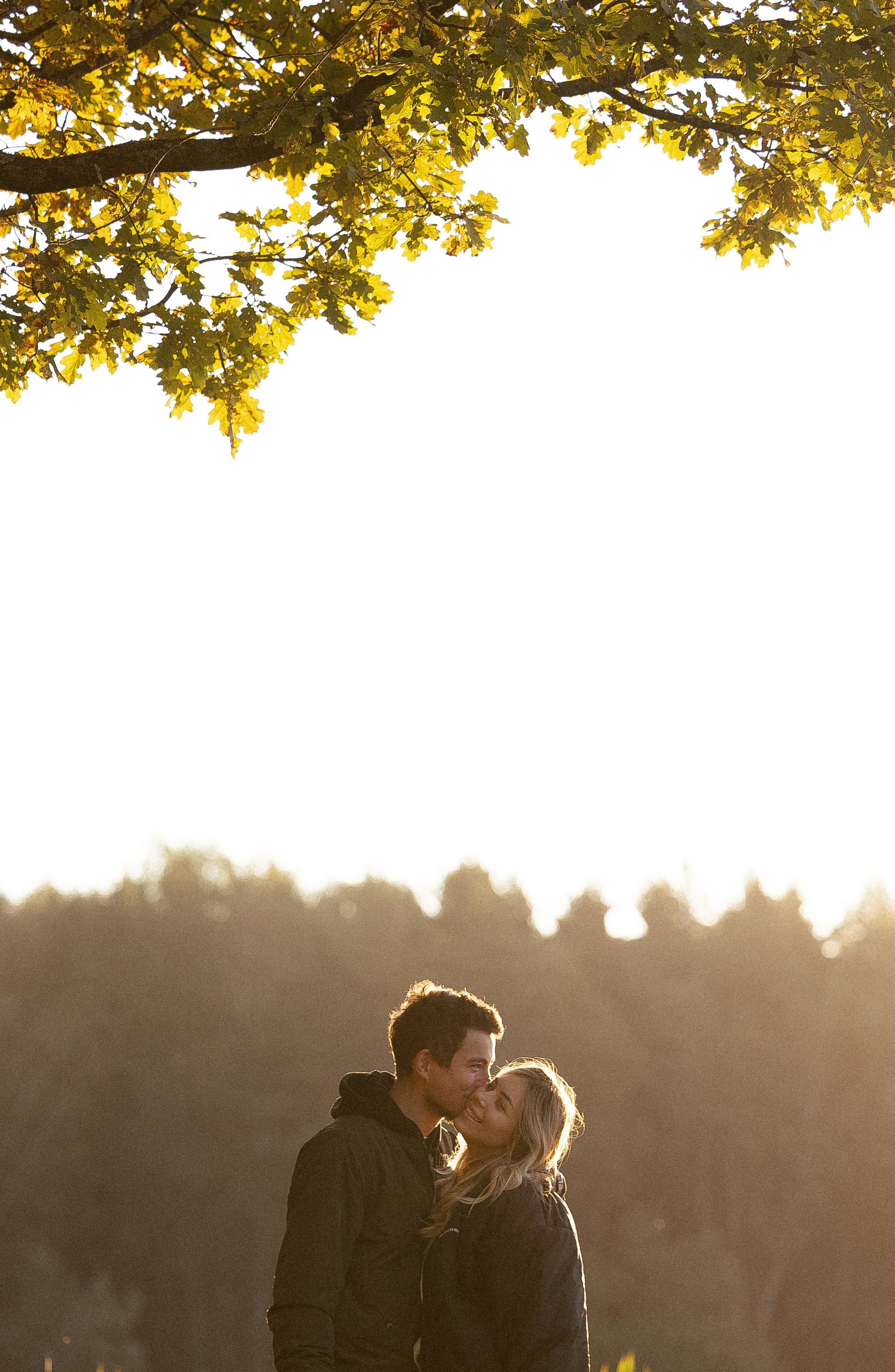 Катя, Леша, Лея и Трой. Фотограф и видеограф анималист Аганина Дарья