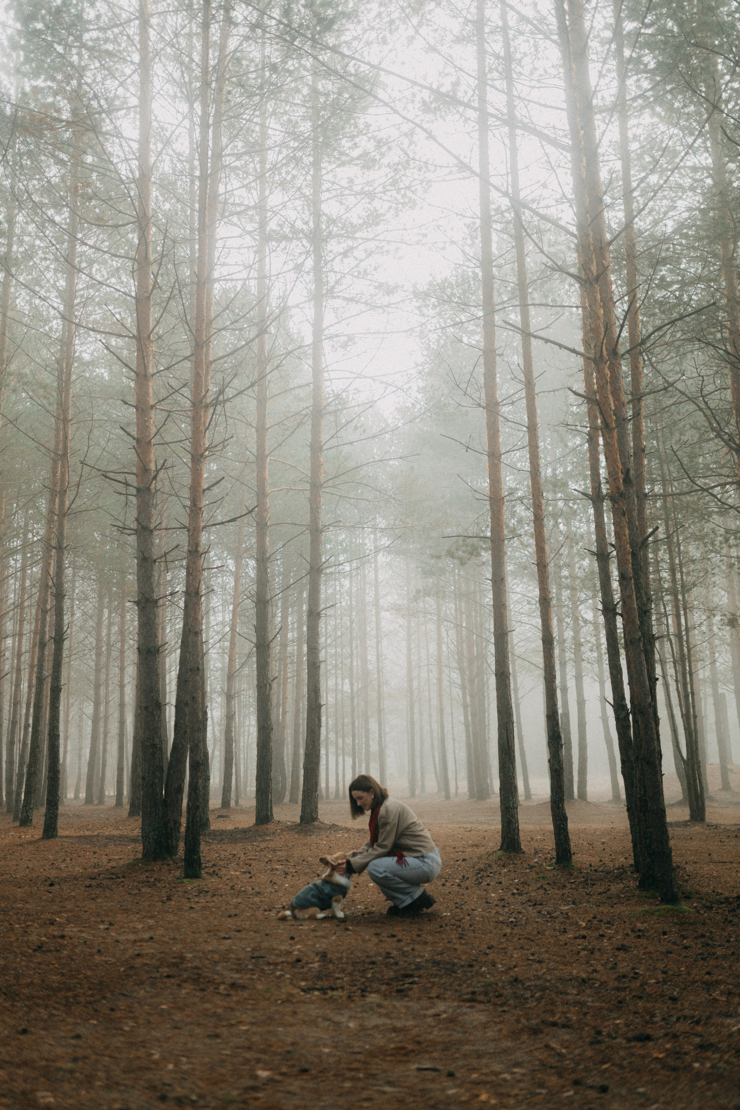 Алина. Фотограф НОГИНСК, Москва, Анастасия Белая