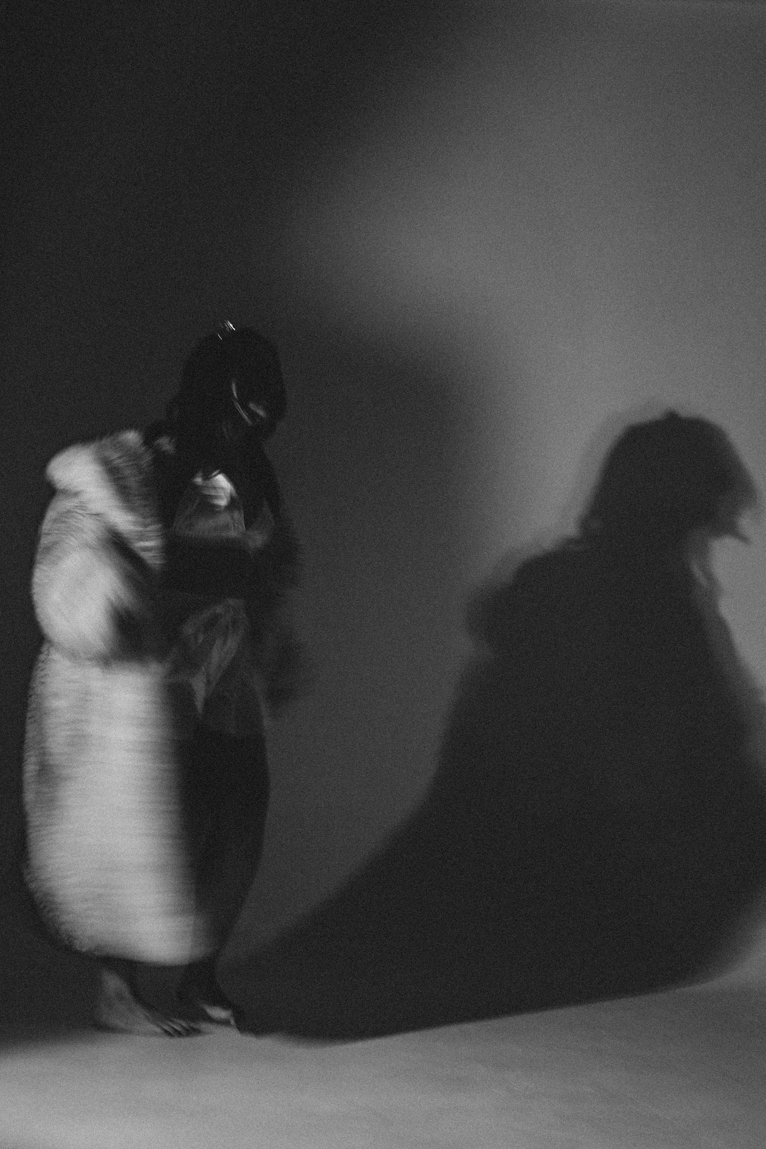 История ко дню рождения. Профессиональный фотограф, Санкт-Петербург — Виктория Богомолова