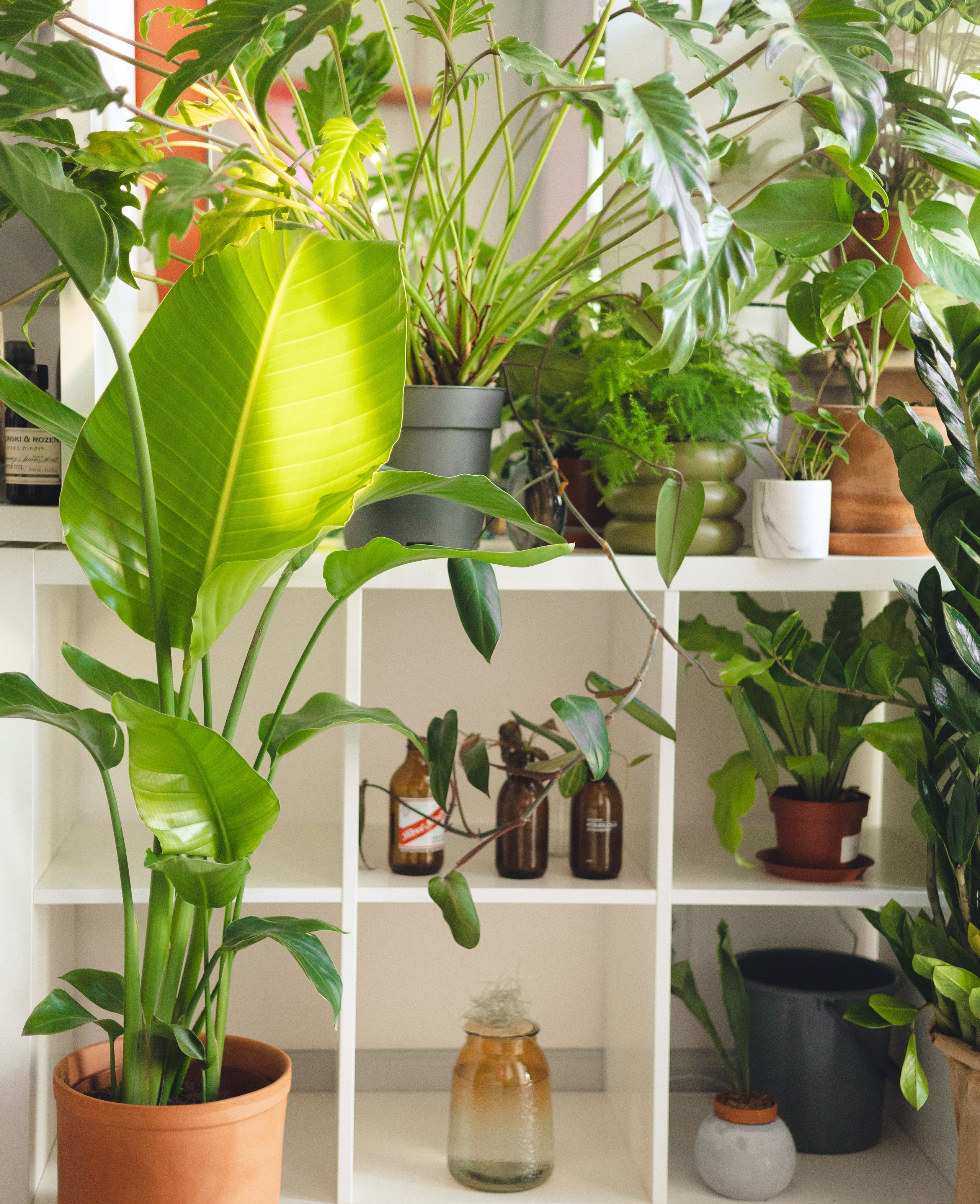 Предметная съемка для бизнеса. Фотограф в Санкт-Петербурге Осокина Елизавета