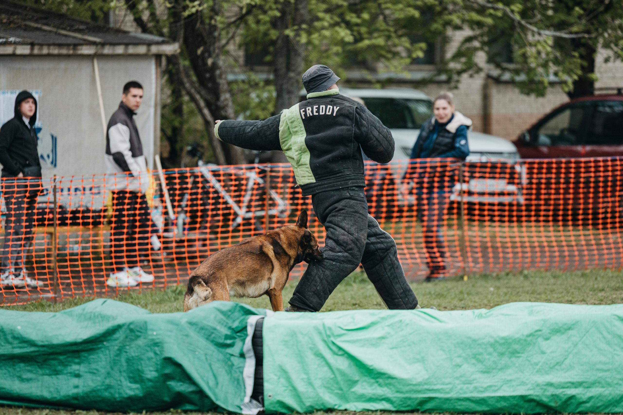 26.05.25 г. Пушкин квалификационные соревнования. Фотограф-анималист Анна Маринич