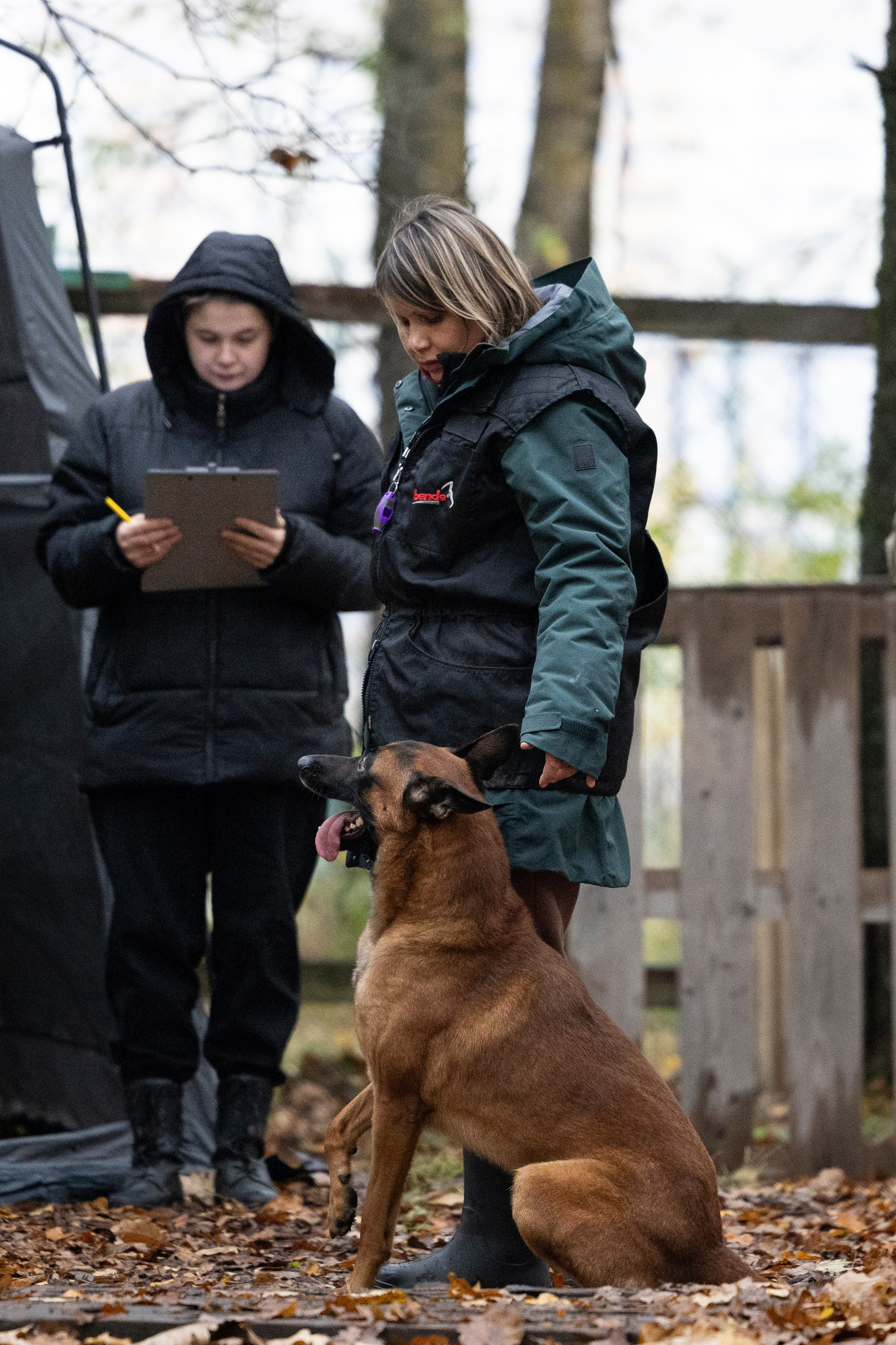 Соревнования по Мондьорингу г. Вологда. Фотограф-анималист Анна Маринич