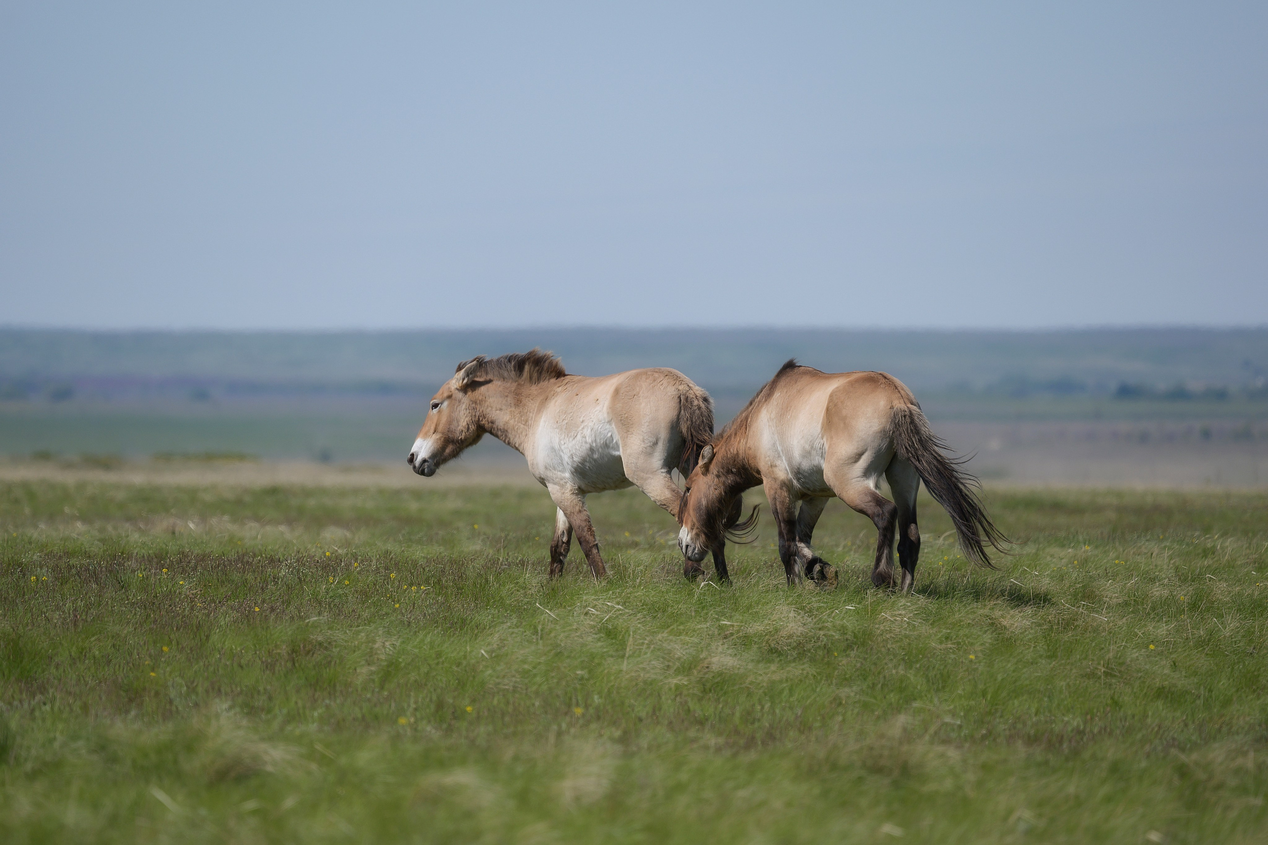 Оренбуржье. Портретный фотограф в Челябинске Катерина Руди