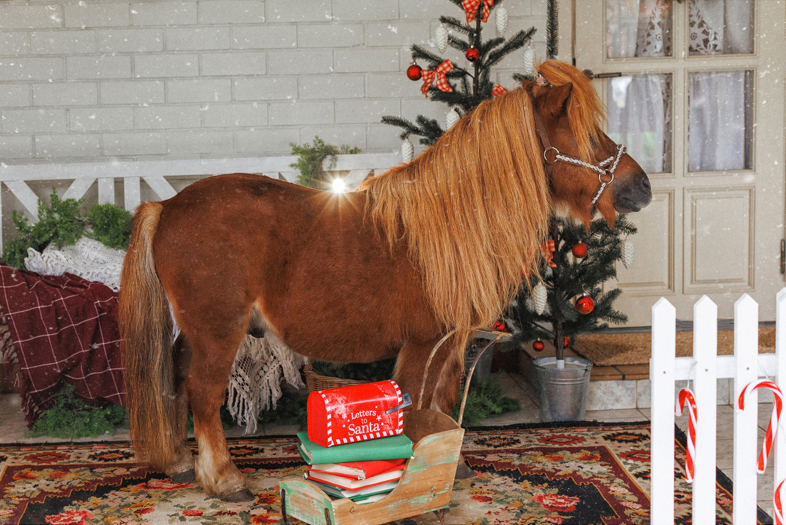 Новогодняя фотосессия с Рыжим пони, город Краснодар. Семейный и детский фотограф в Краснодаре Анна Трашкова