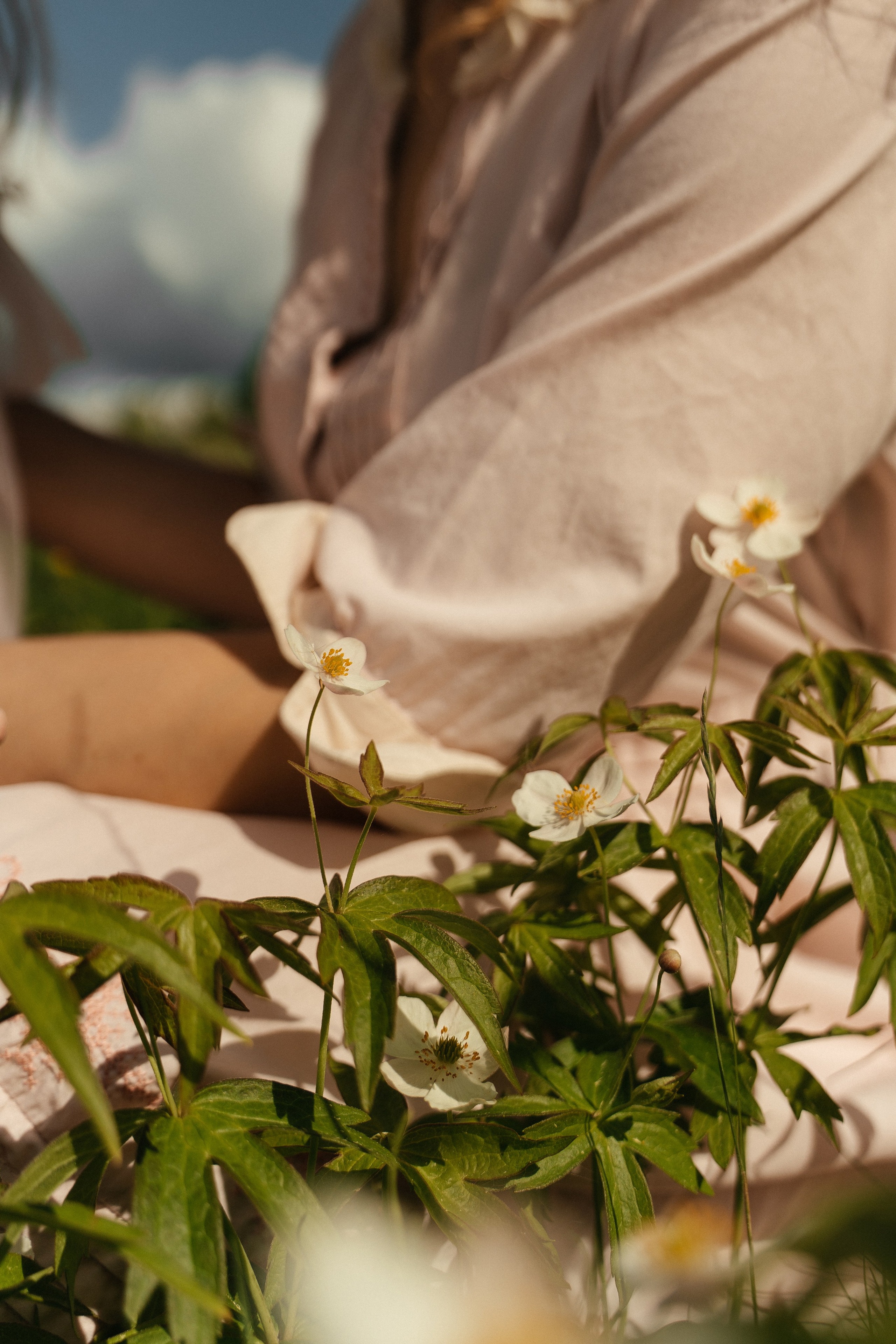 Пикник. Лайфстайл фотограф в Ханты-Мансийске Мария Шишкина