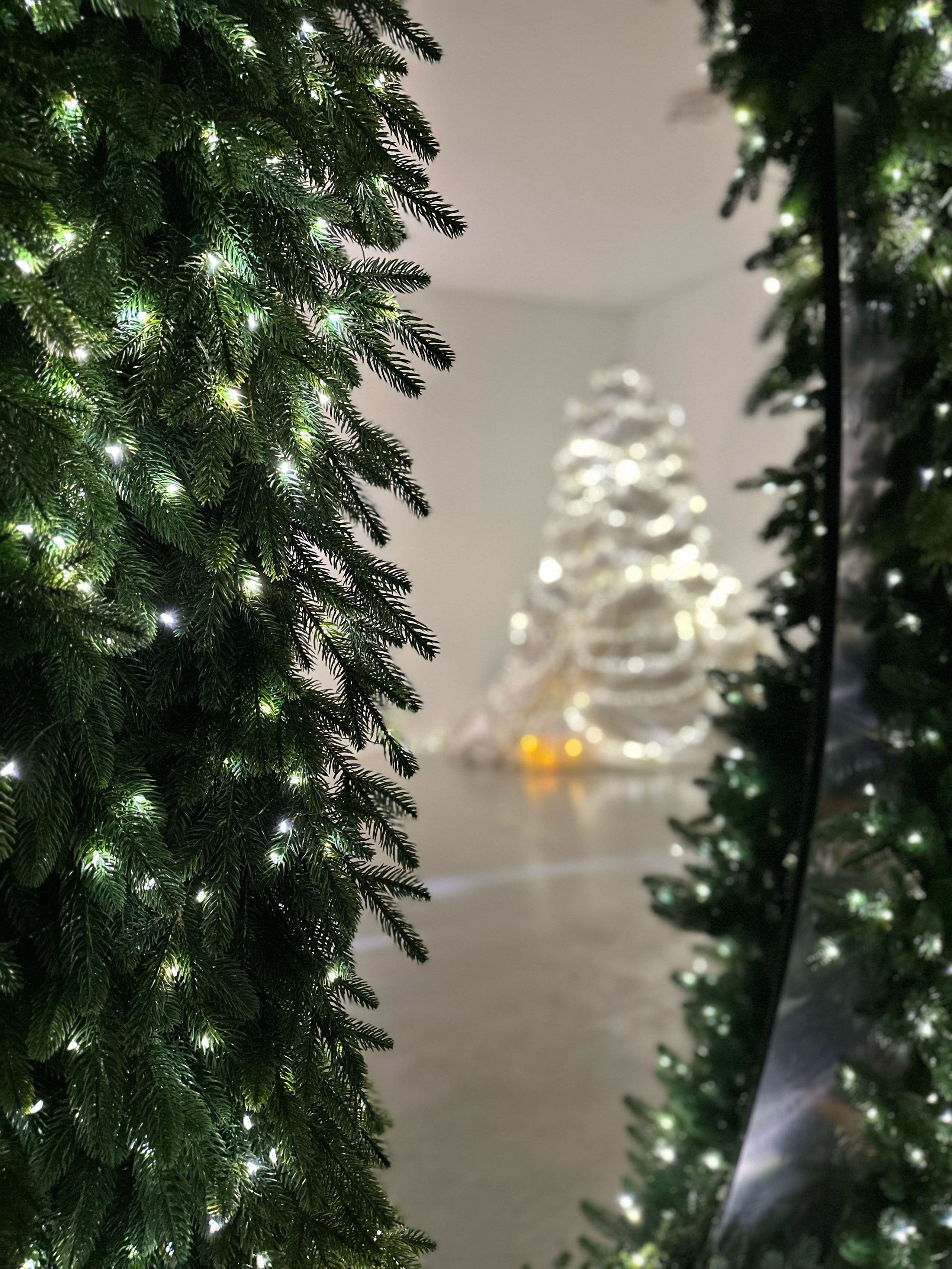 GOA Зал1. Детский семейный фотограф Краснодар