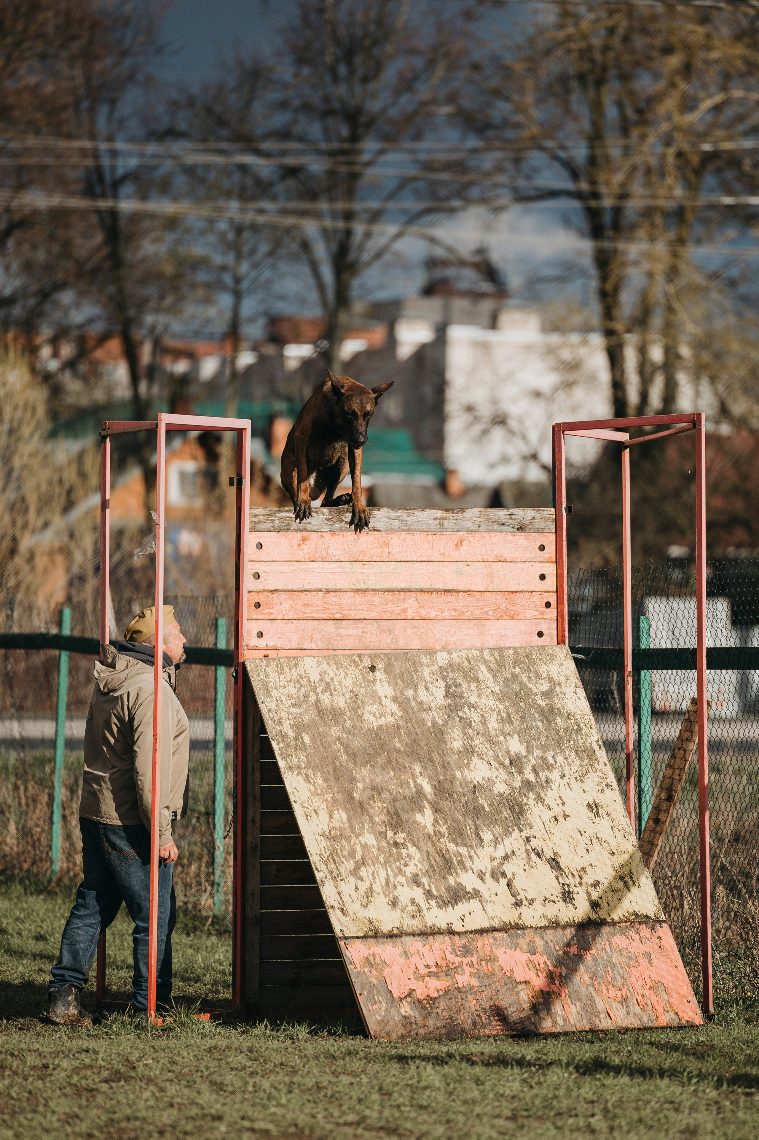 09.05.25 Вологда соревнования. Фотограф-анималист Анна Маринич